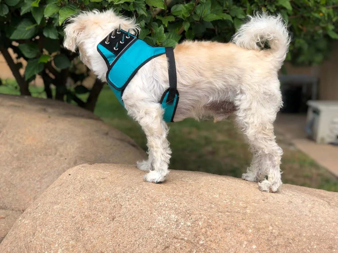 SpikeHarness - Image 2