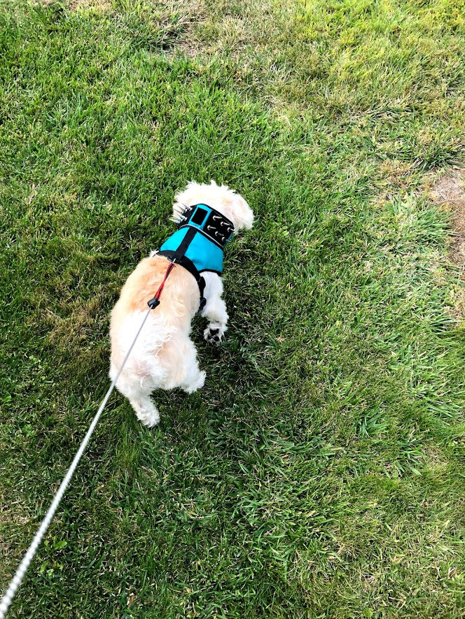 SpikeHarness - Image 4