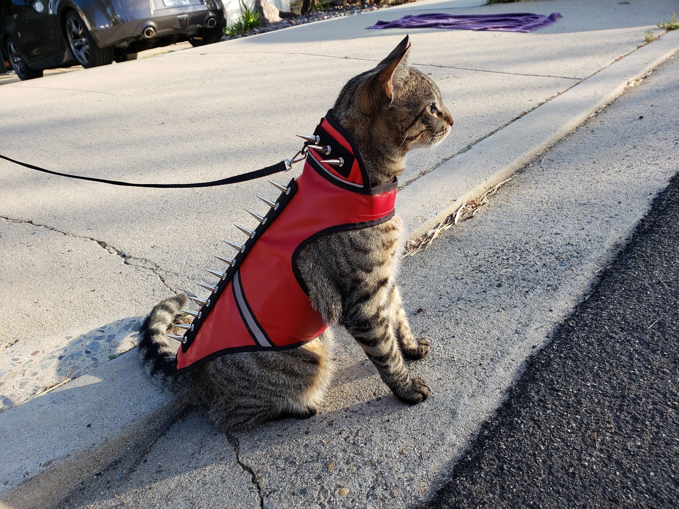 SpikeVest for Cats - Image 3