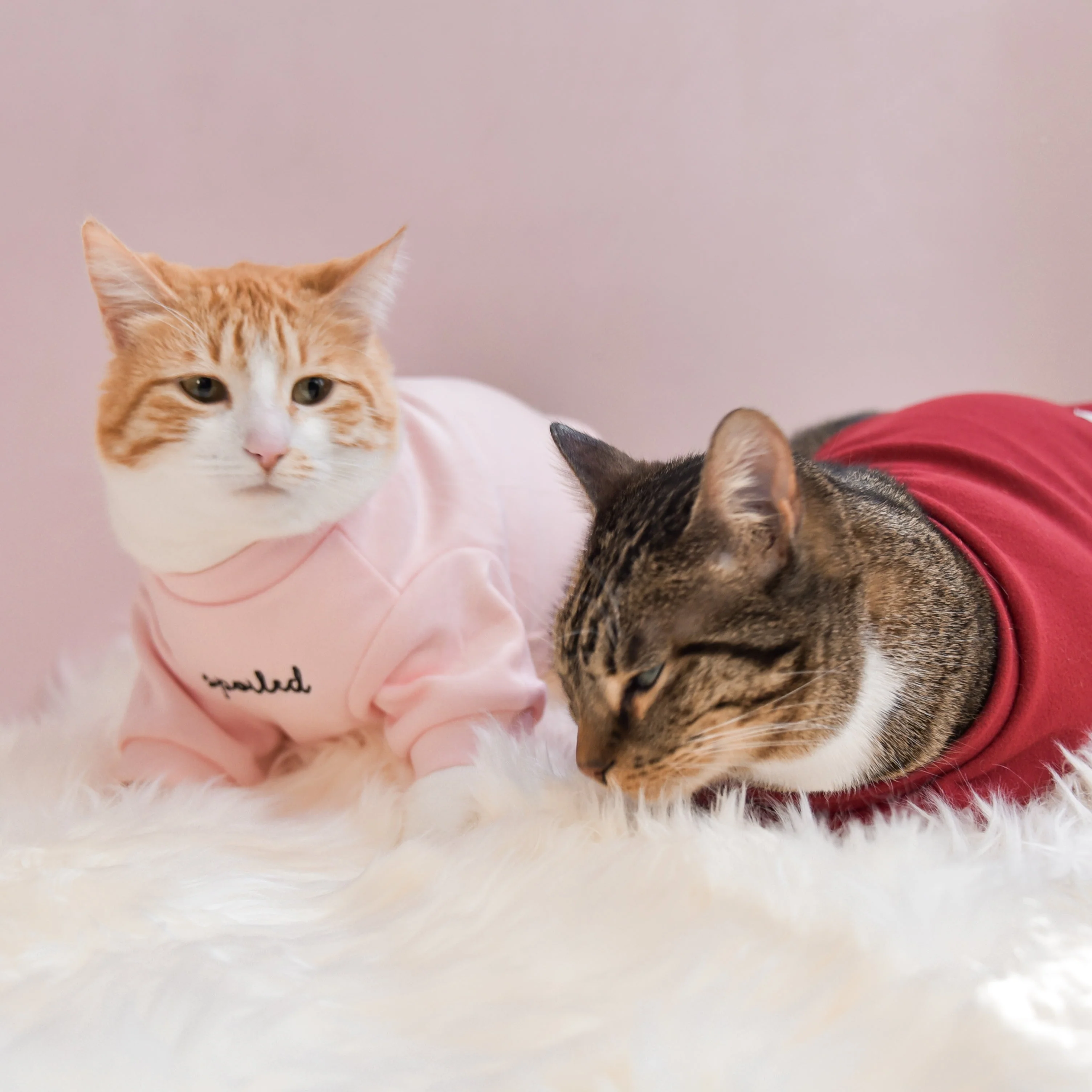 “Spoiled” Mock Neck Shirt - Cupid’s Blush - Image 10