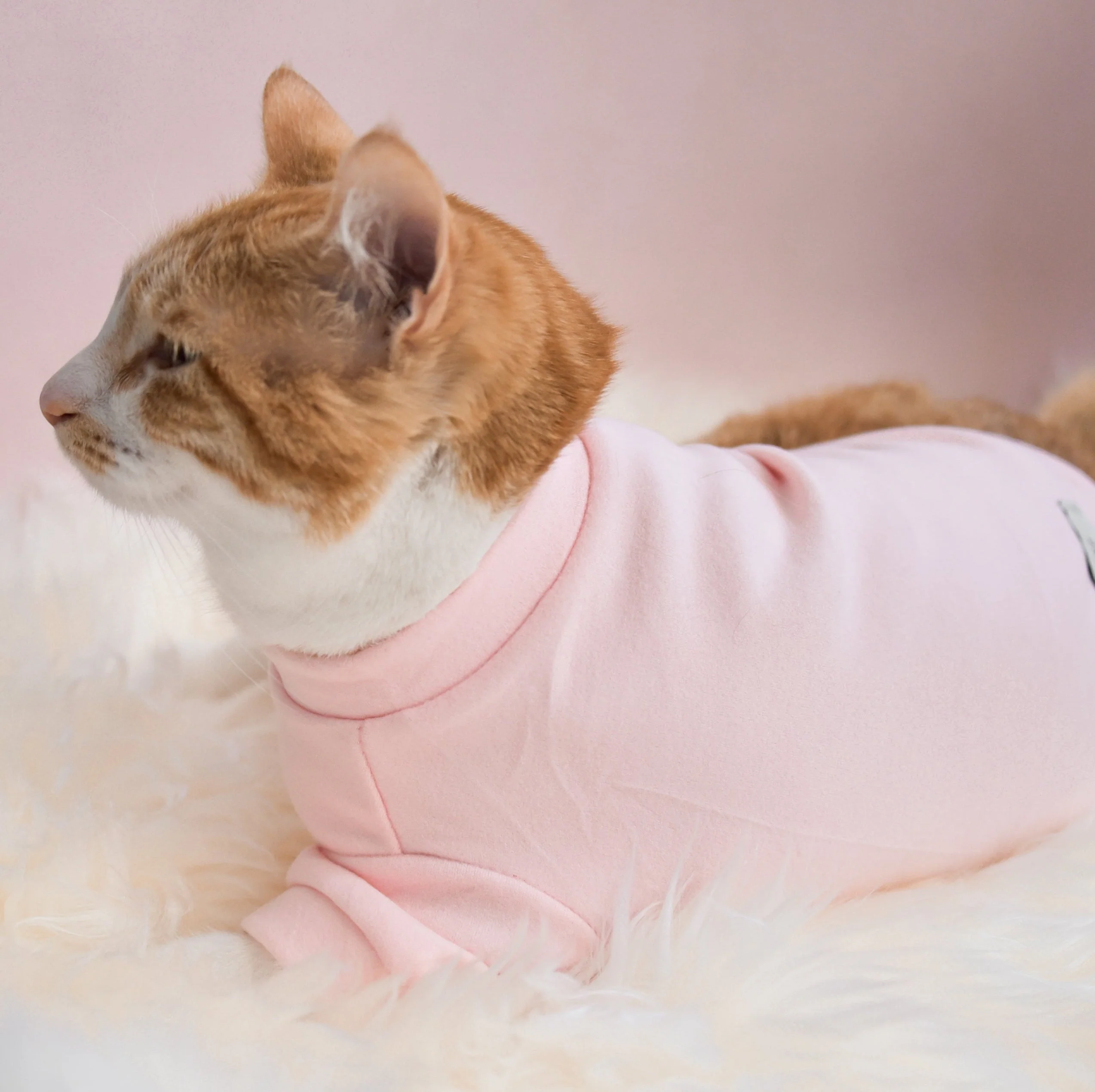 “Spoiled” Mock Neck Shirt - Cupid’s Blush - Image 12