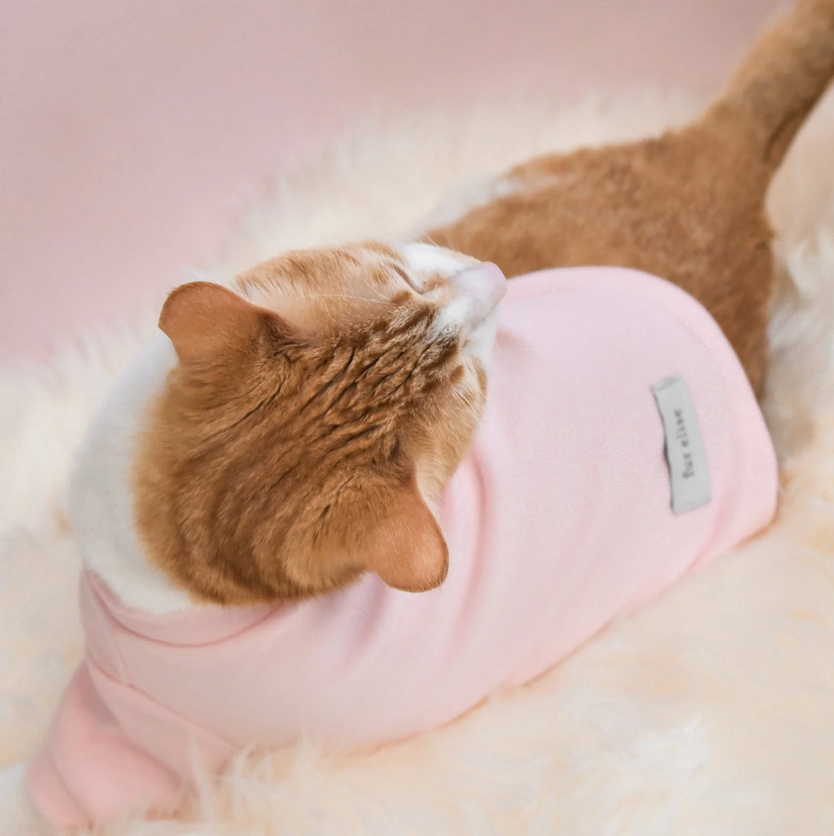 “Spoiled” Mock Neck Shirt - Cupid’s Blush - Image 13