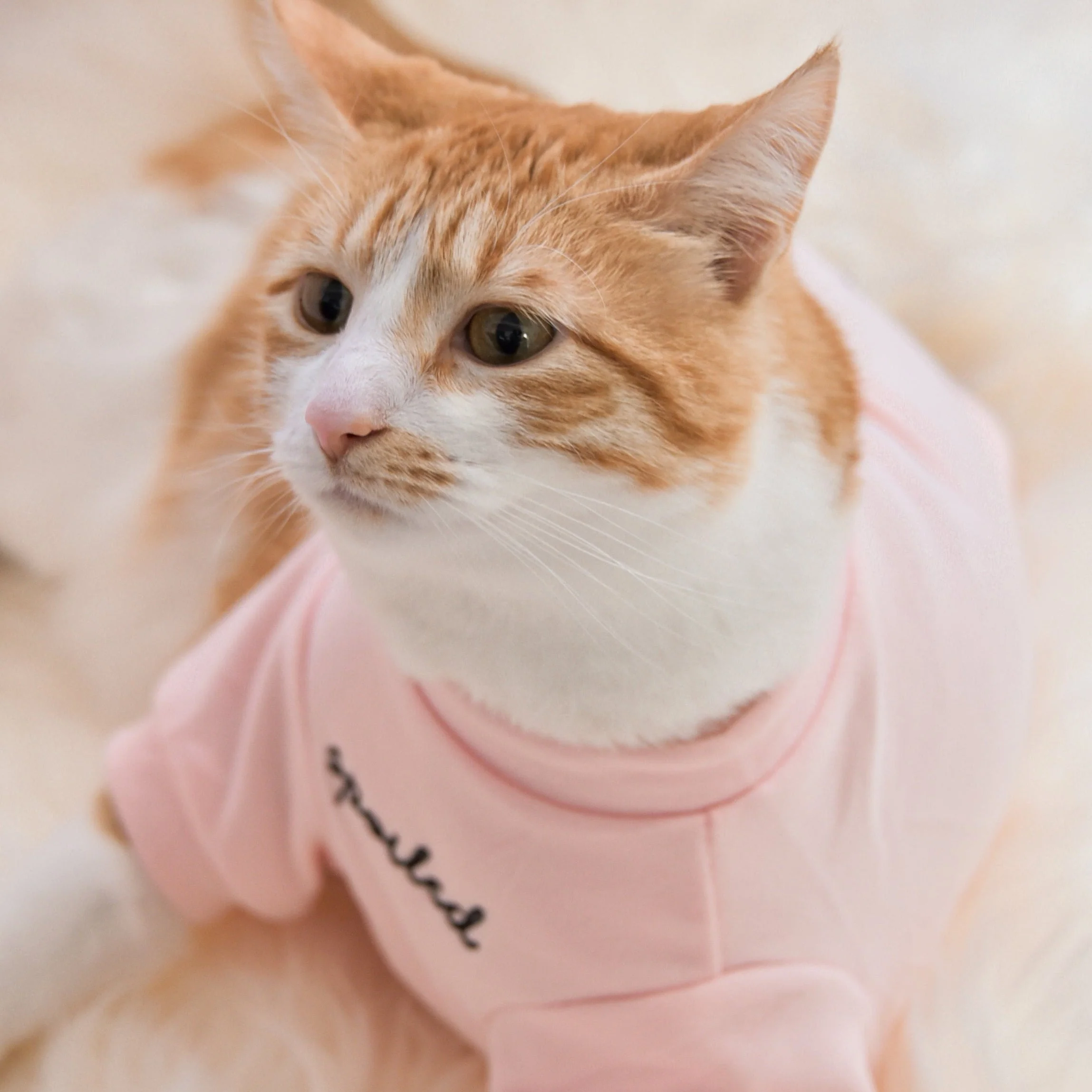 “Spoiled” Mock Neck Shirt - Cupid’s Blush - Image 4