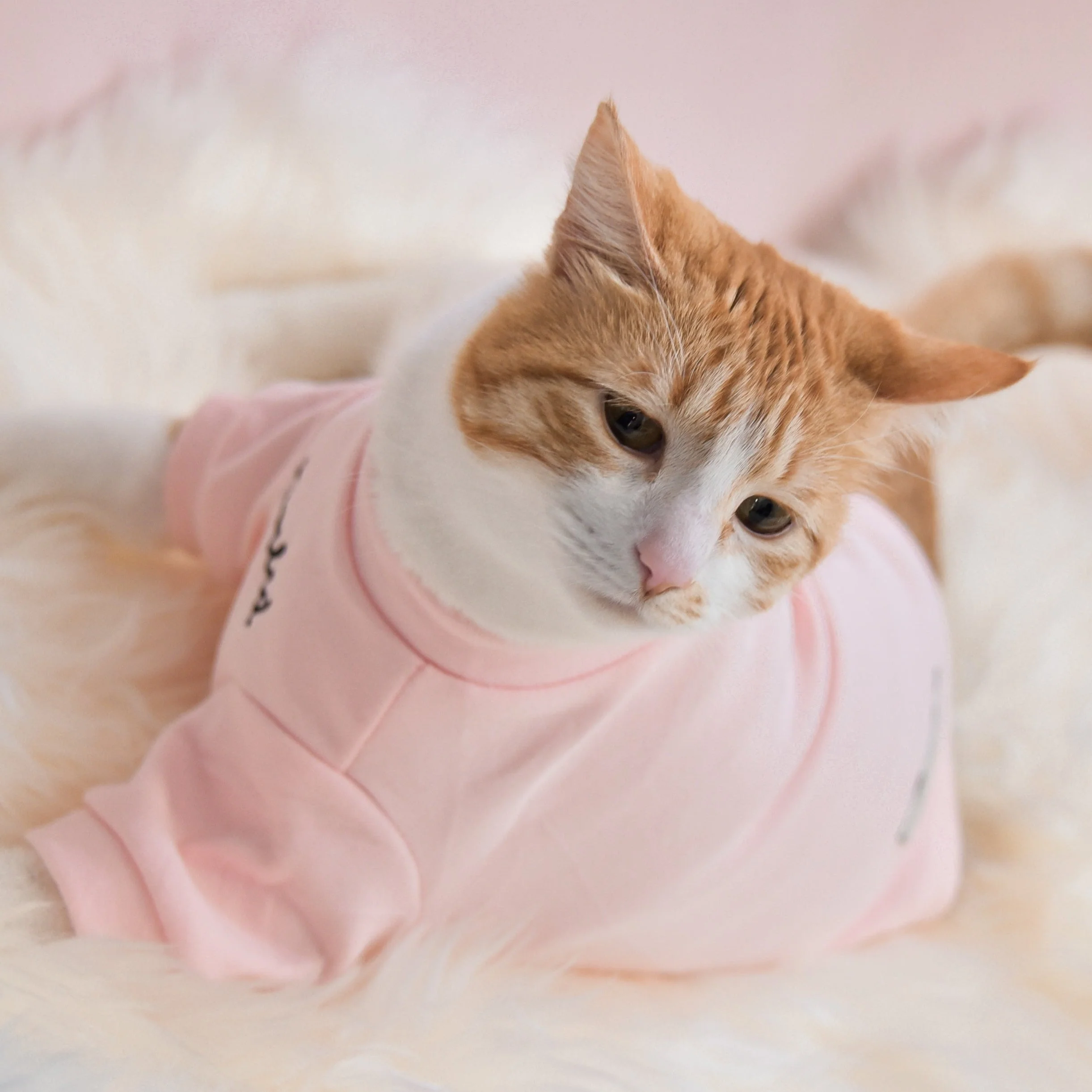 “Spoiled” Mock Neck Shirt - Cupid’s Blush - Image 5