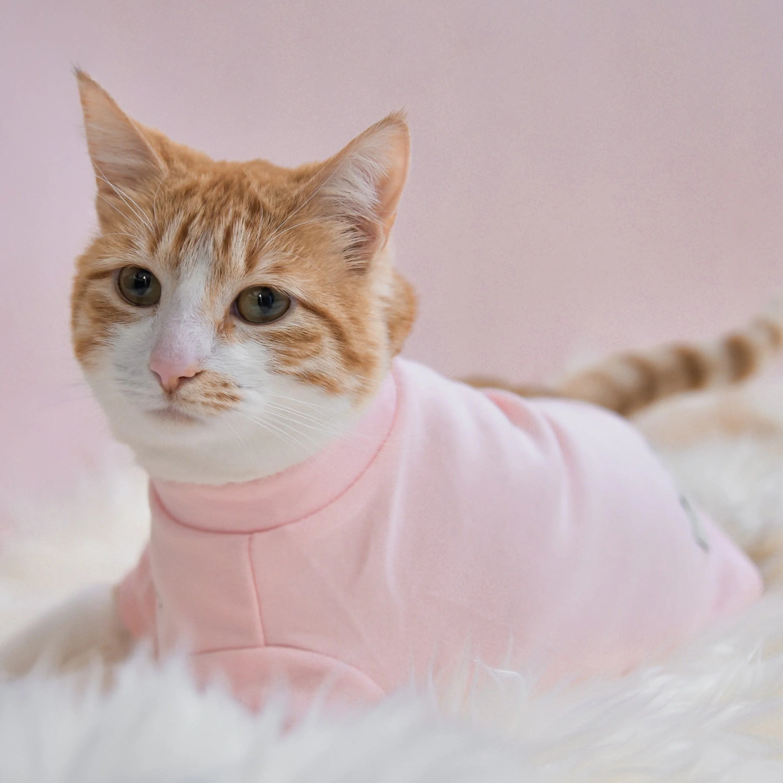 “Spoiled” Mock Neck Shirt - Cupid’s Blush - Image 6