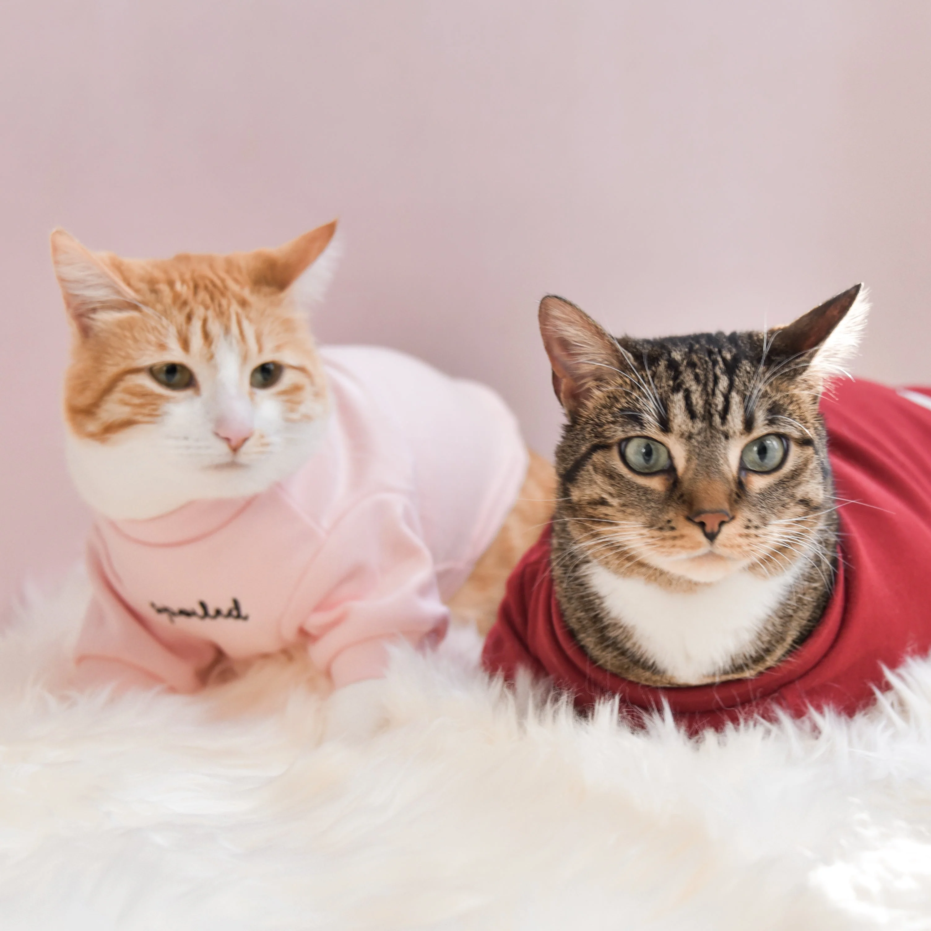 “Spoiled” Mock Neck Shirt - Cupid’s Blush - Image 9