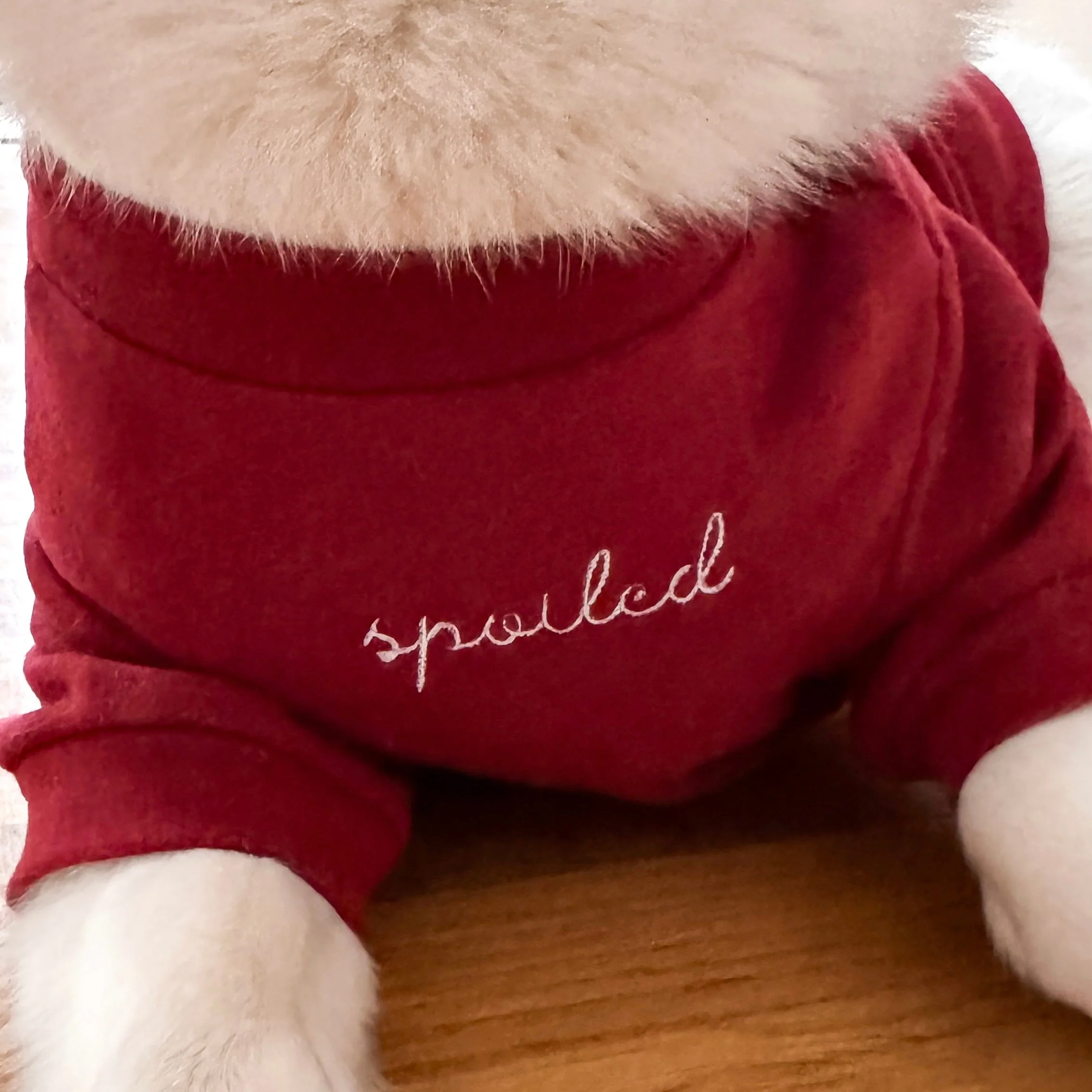 “Spoiled” Mock Neck Shirt - Lucky in Love - Image 10