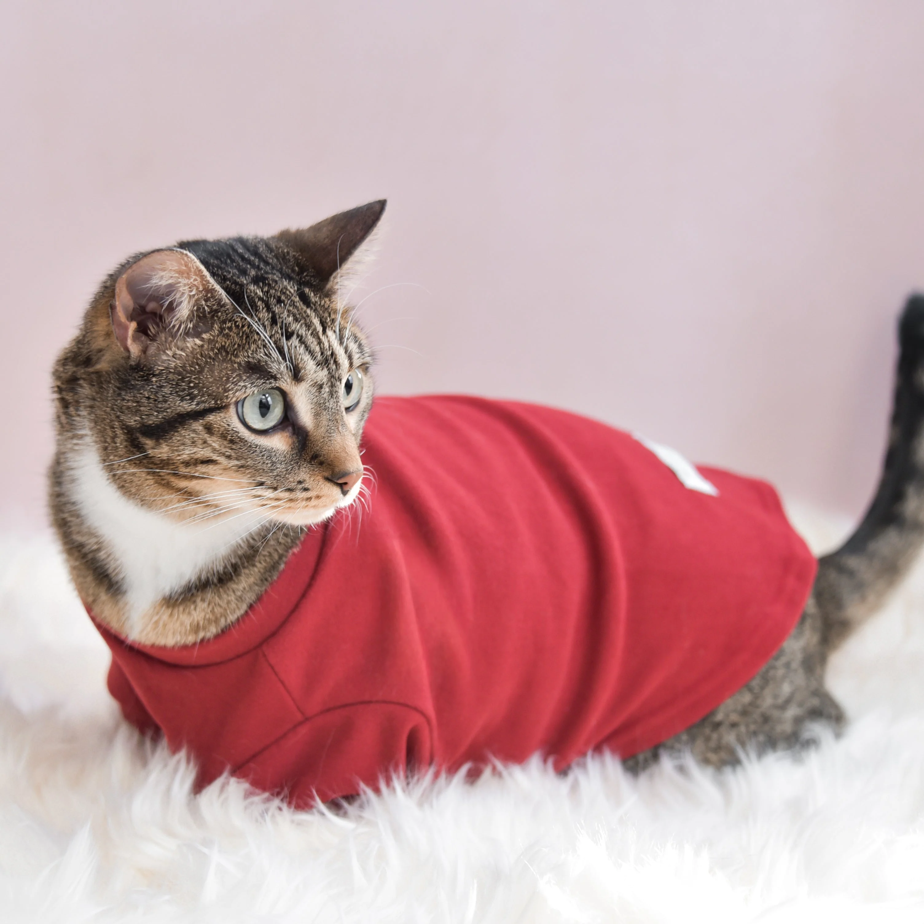“Spoiled” Mock Neck Shirt - Lucky in Love - Image 11