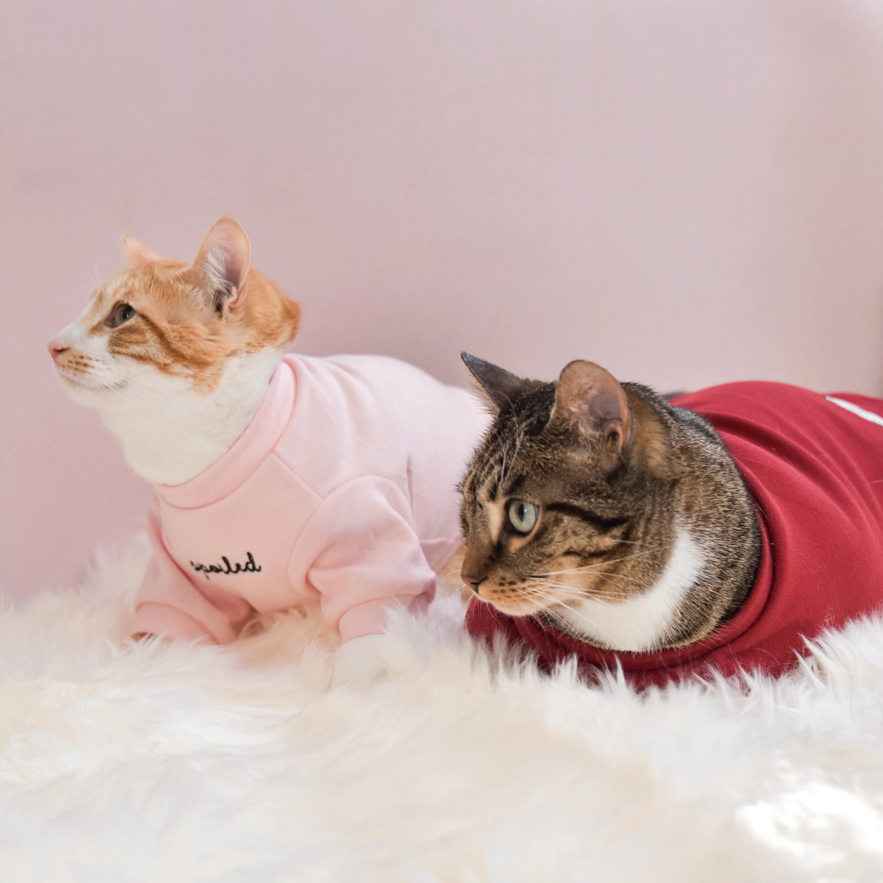 “Spoiled” Mock Neck Shirt - Lucky in Love - Image 12