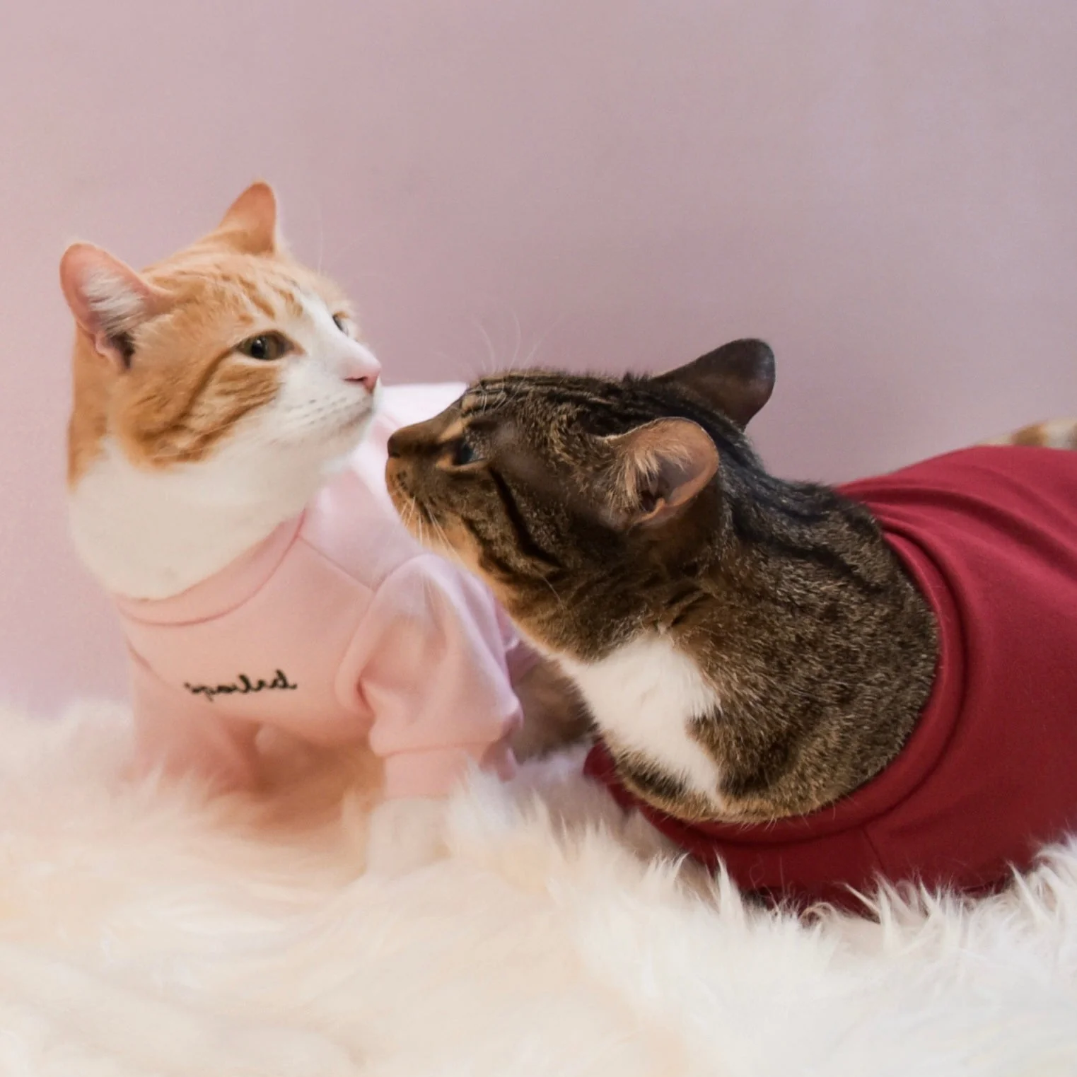 “Spoiled” Mock Neck Shirt - Lucky in Love - Image 13