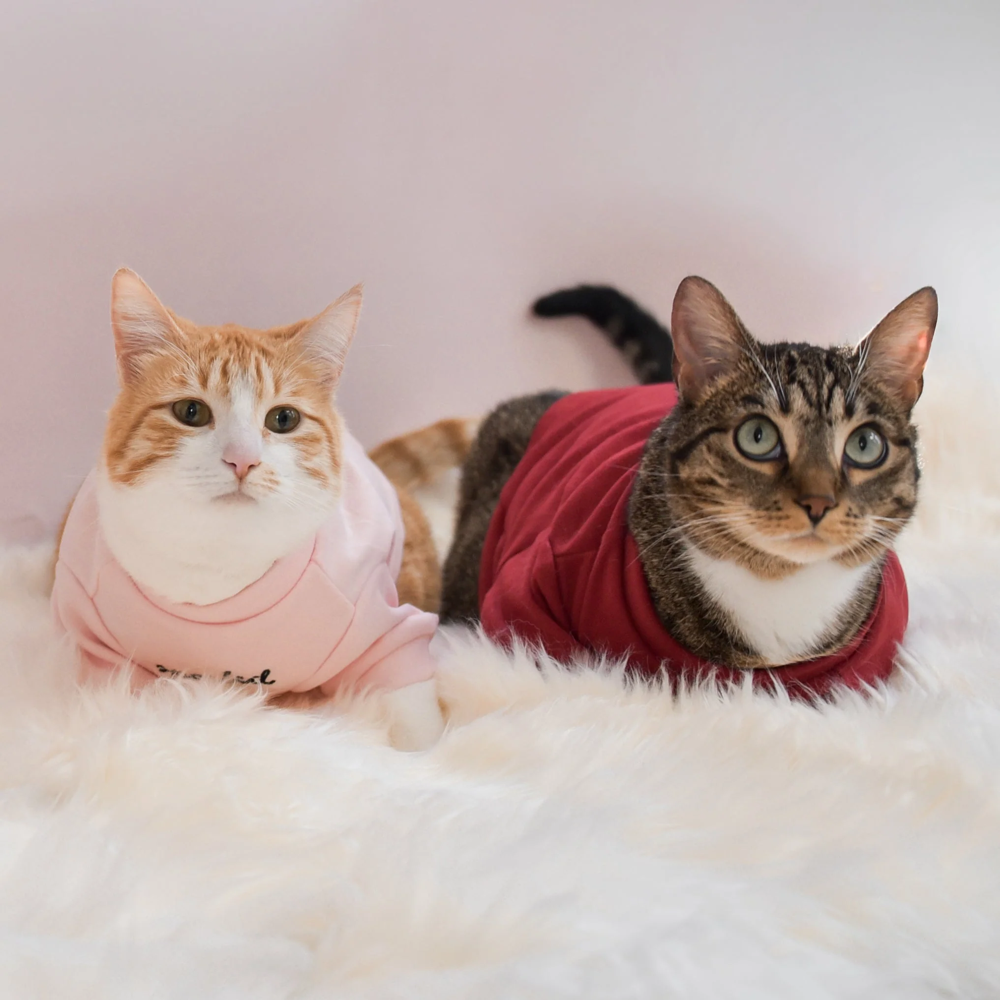 “Spoiled” Mock Neck Shirt - Lucky in Love - Image 15