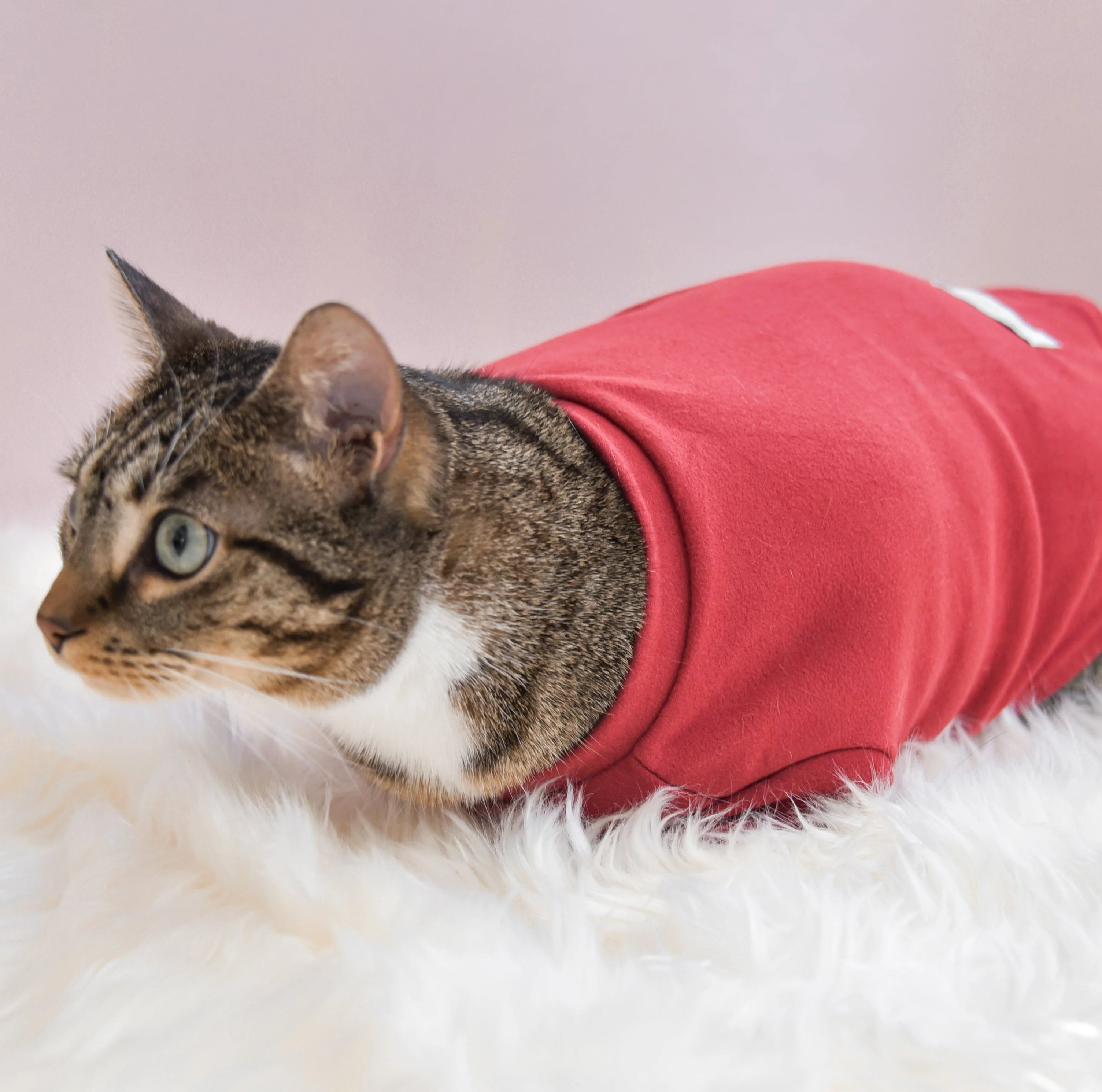 “Spoiled” Mock Neck Shirt - Lucky in Love - Image 17