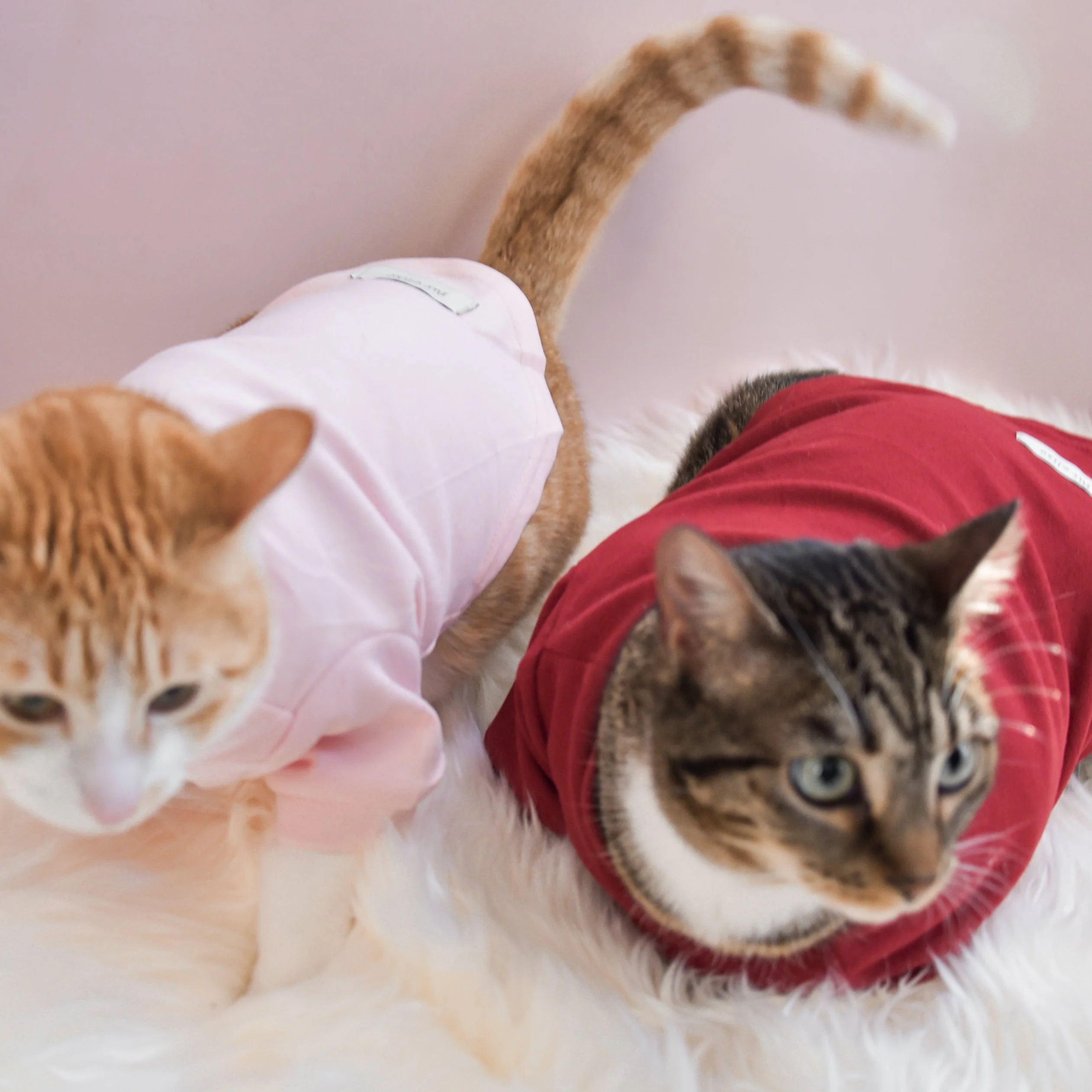 “Spoiled” Mock Neck Shirt - Lucky in Love - Image 18