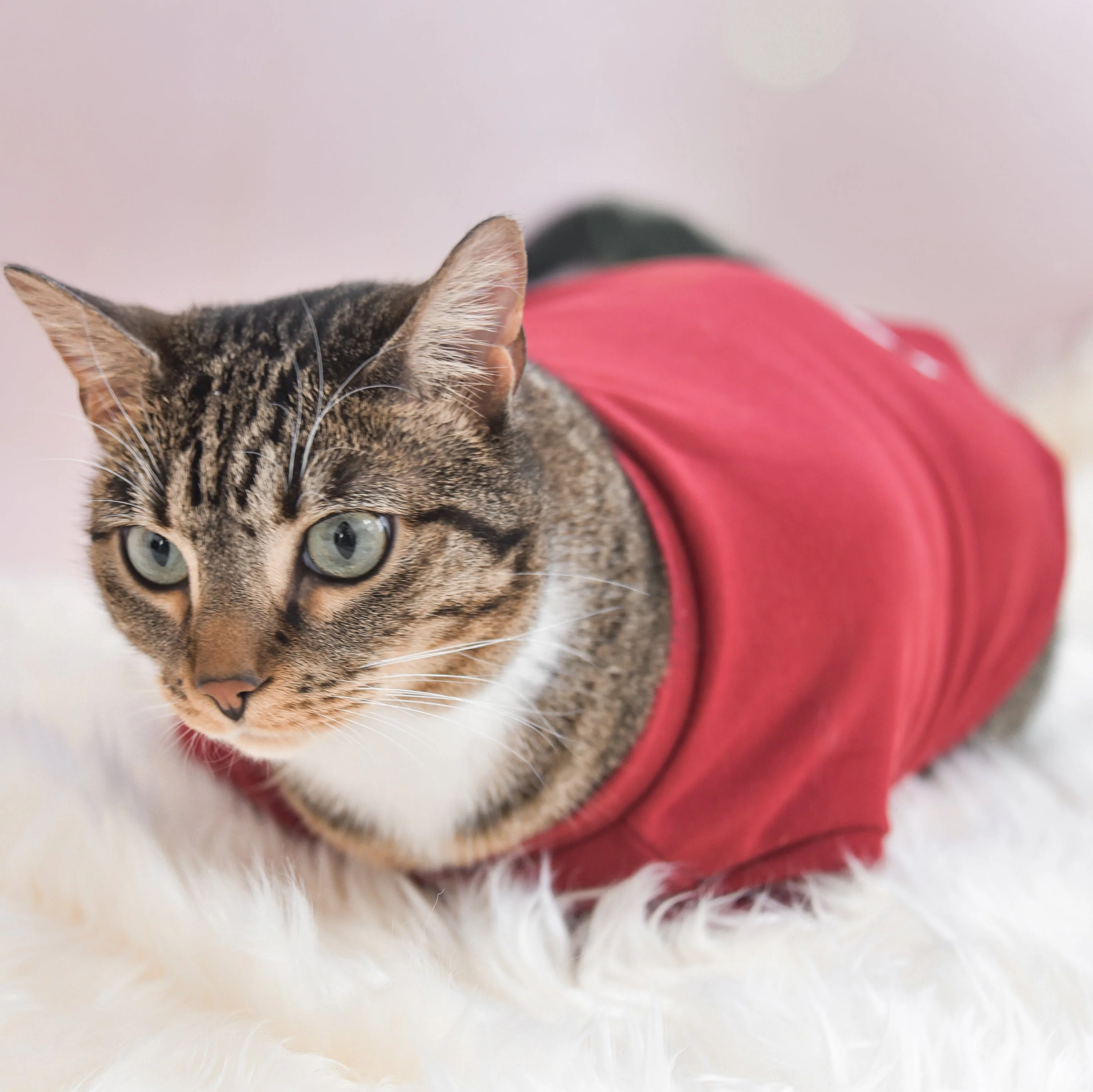 “Spoiled” Mock Neck Shirt - Lucky in Love - Image 19
