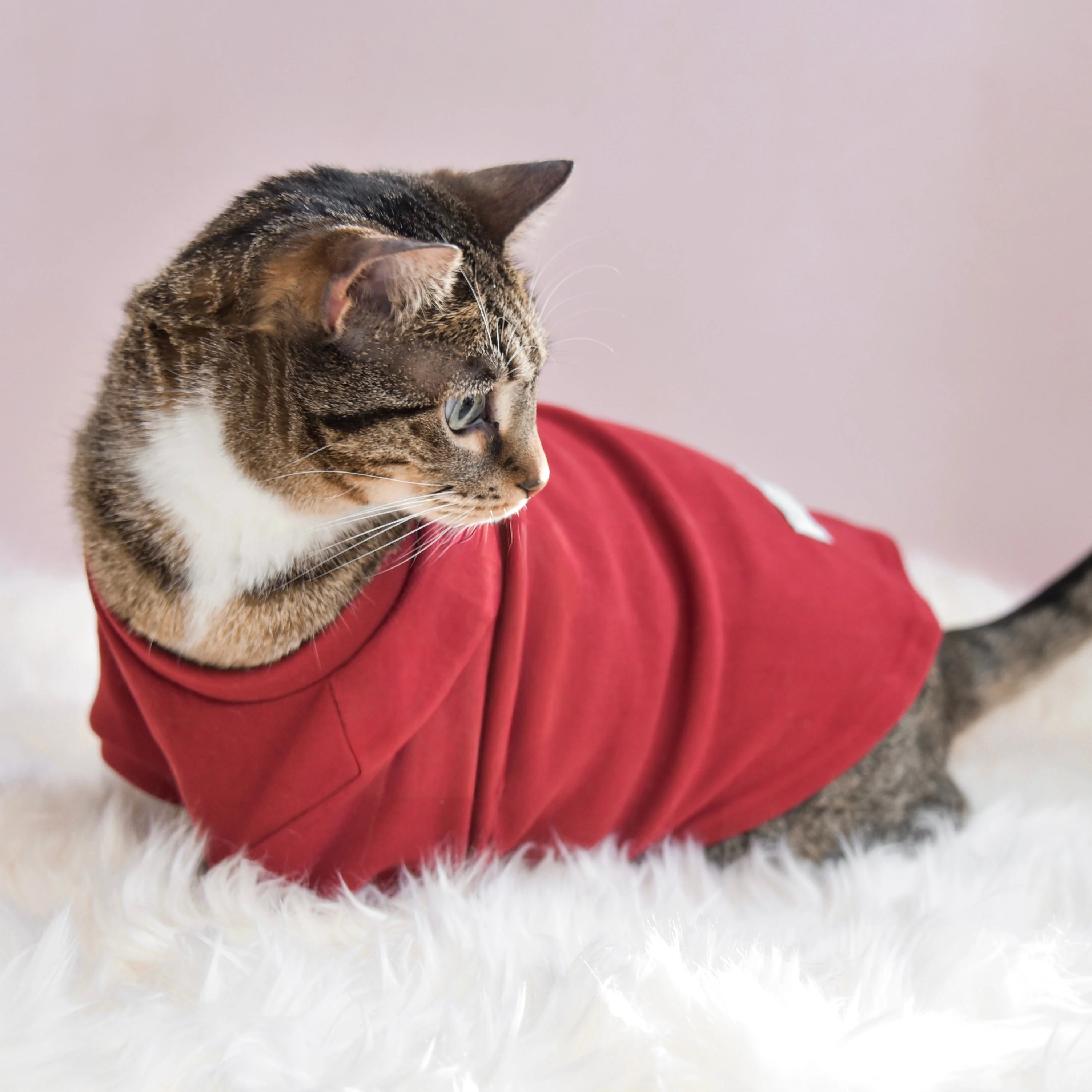 “Spoiled” Mock Neck Shirt - Lucky in Love - Image 20