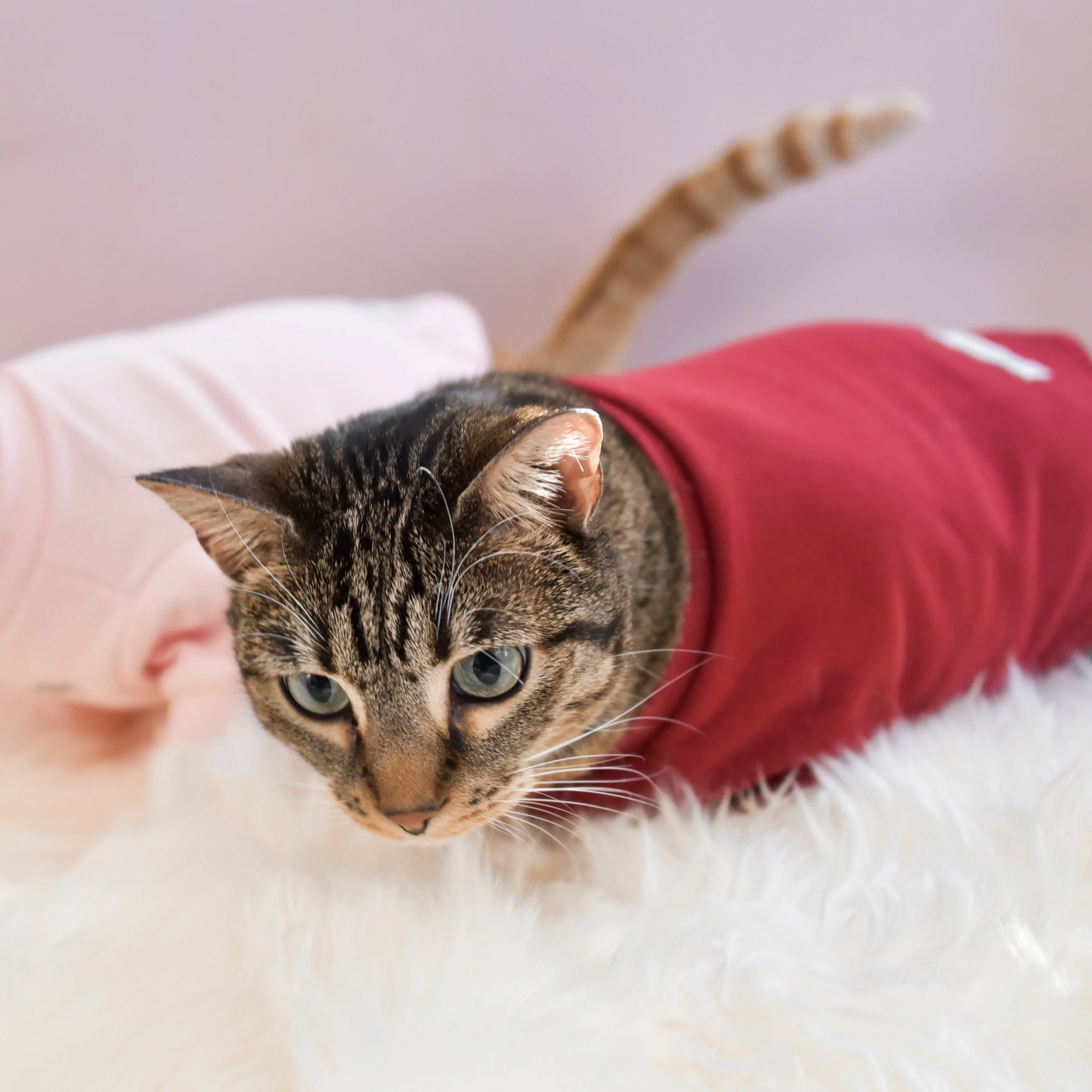 “Spoiled” Mock Neck Shirt - Lucky in Love - Image 21