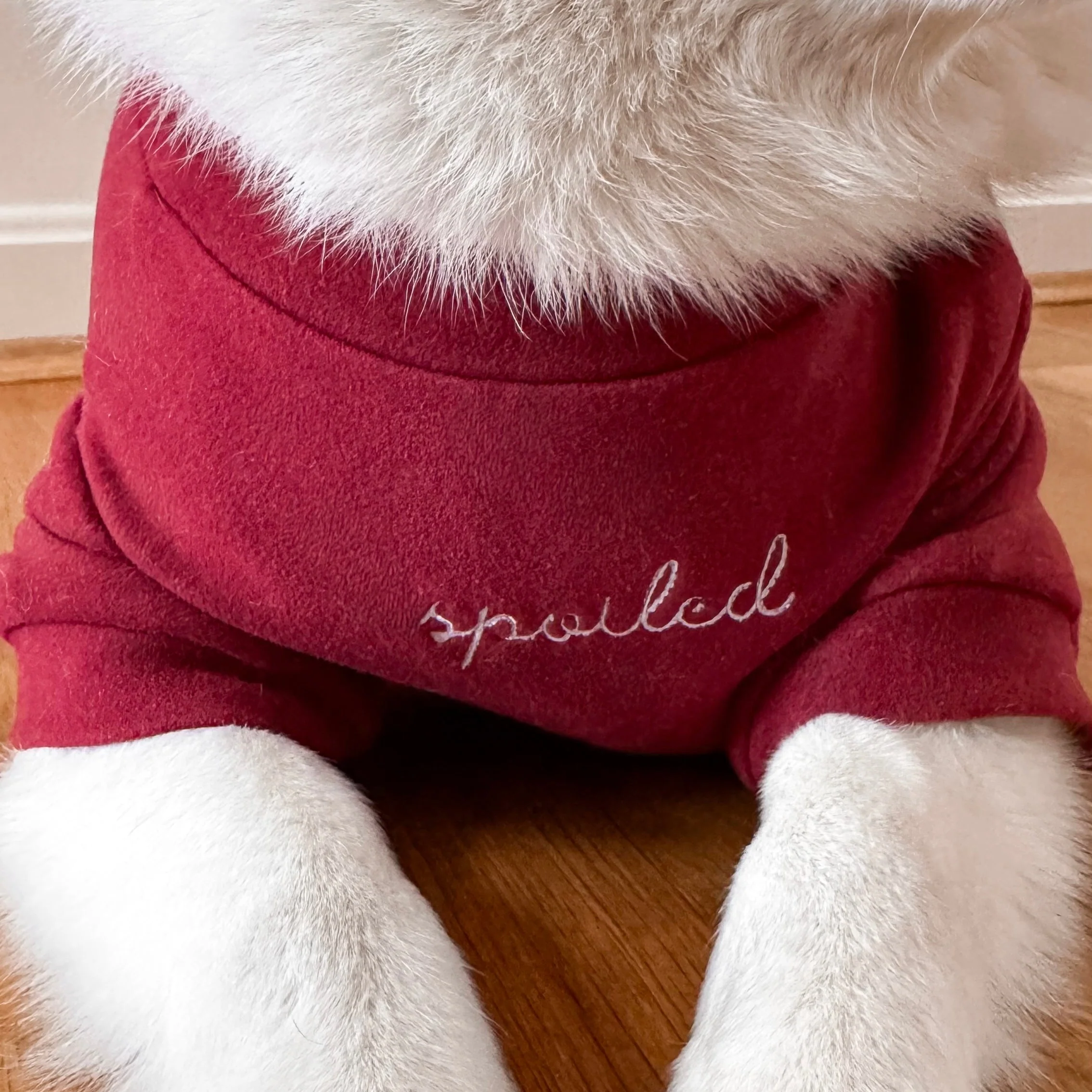“Spoiled” Mock Neck Shirt - Lucky in Love - Image 6