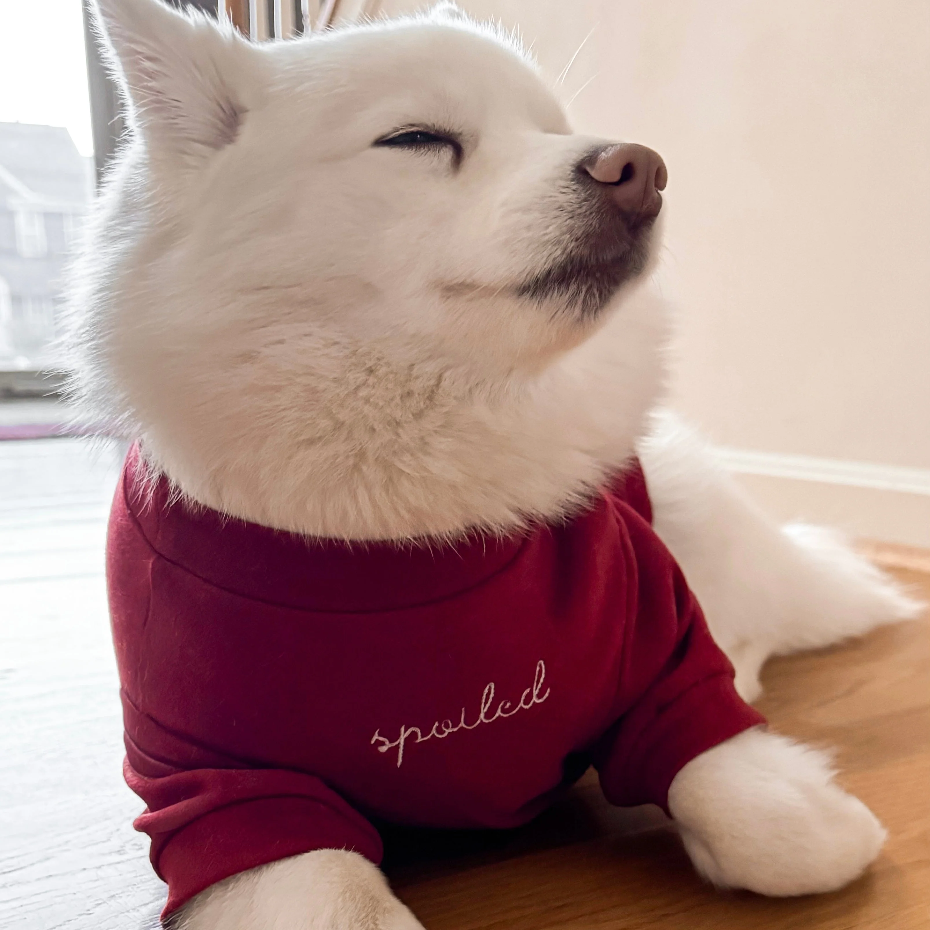 “Spoiled” Mock Neck Shirt - Lucky in Love - Image 8