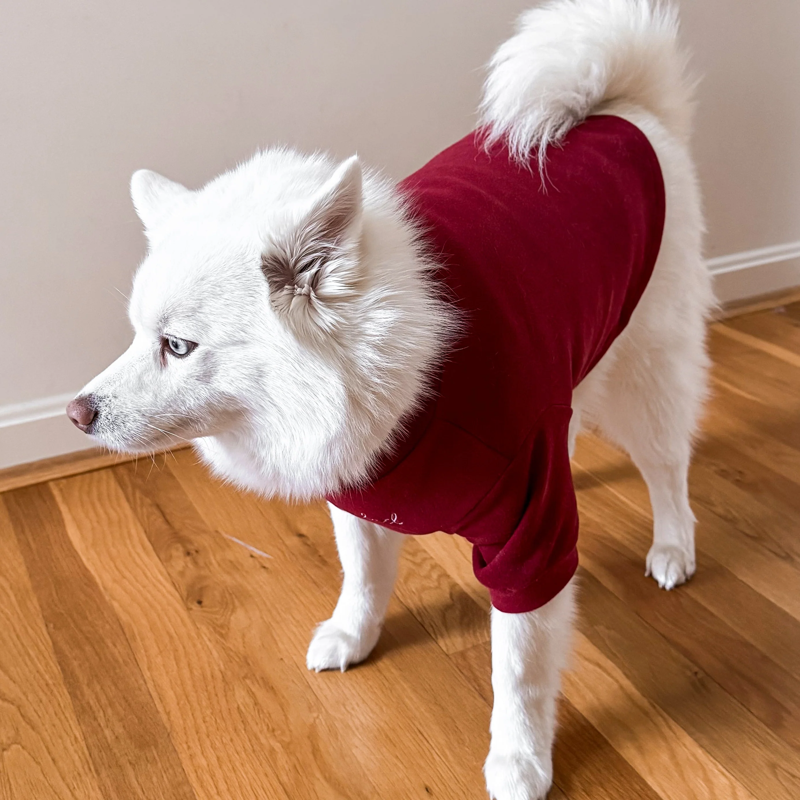 “Spoiled” Mock Neck Shirt - Lucky in Love - Image 9