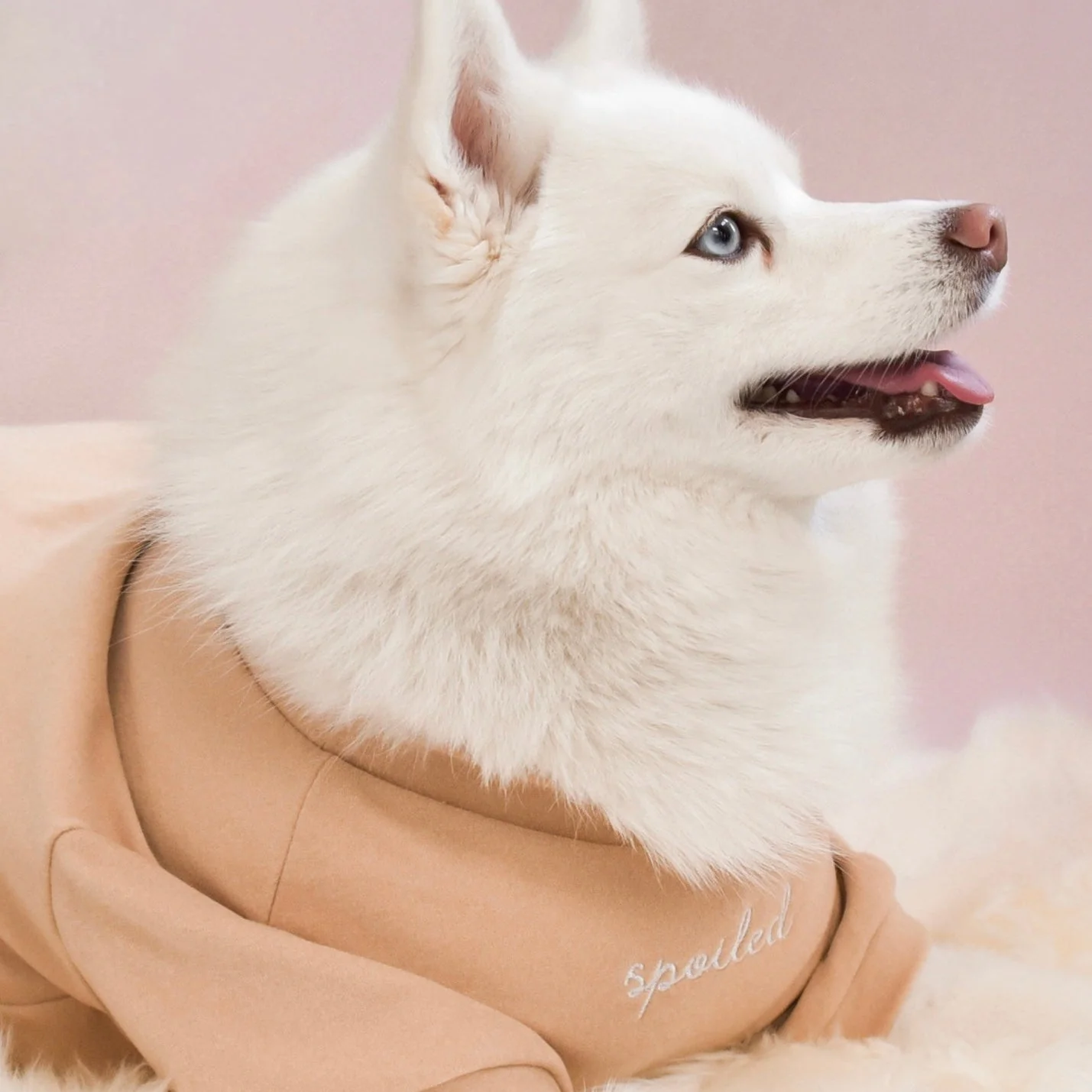“Spoiled” Mock Neck Shirt - Miss U a Latte - Image 4