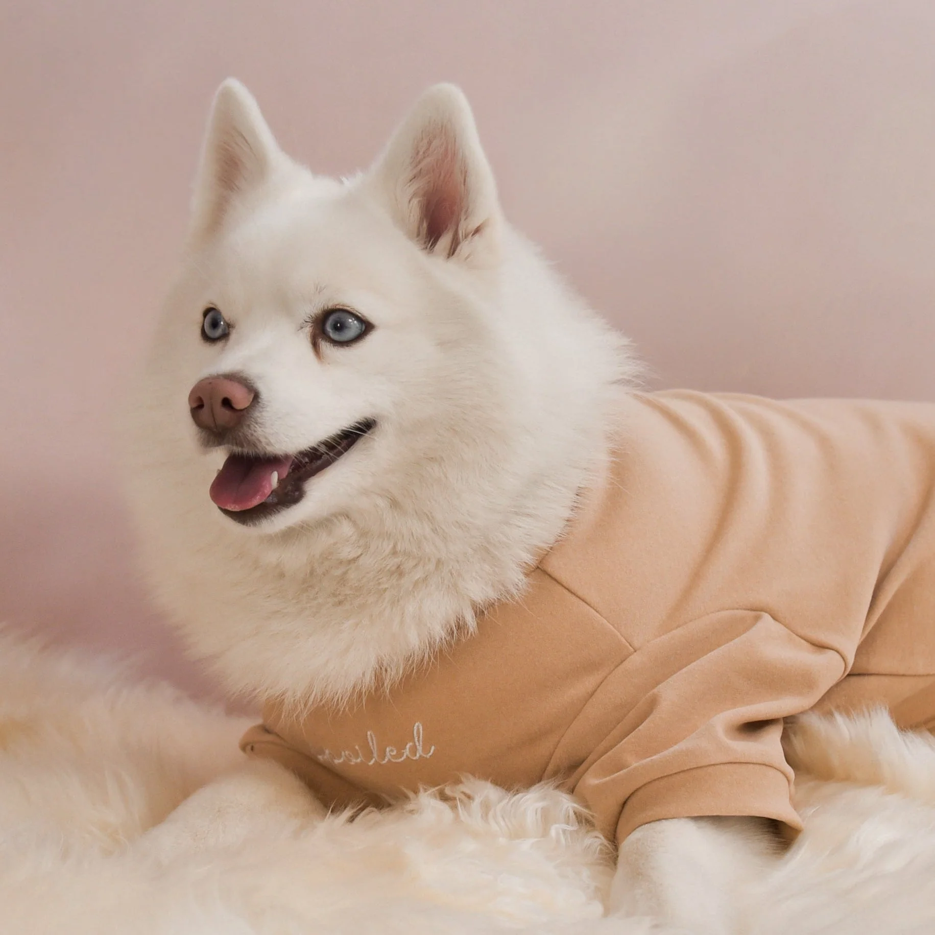 “Spoiled” Mock Neck Shirt - Miss U a Latte - Image 7