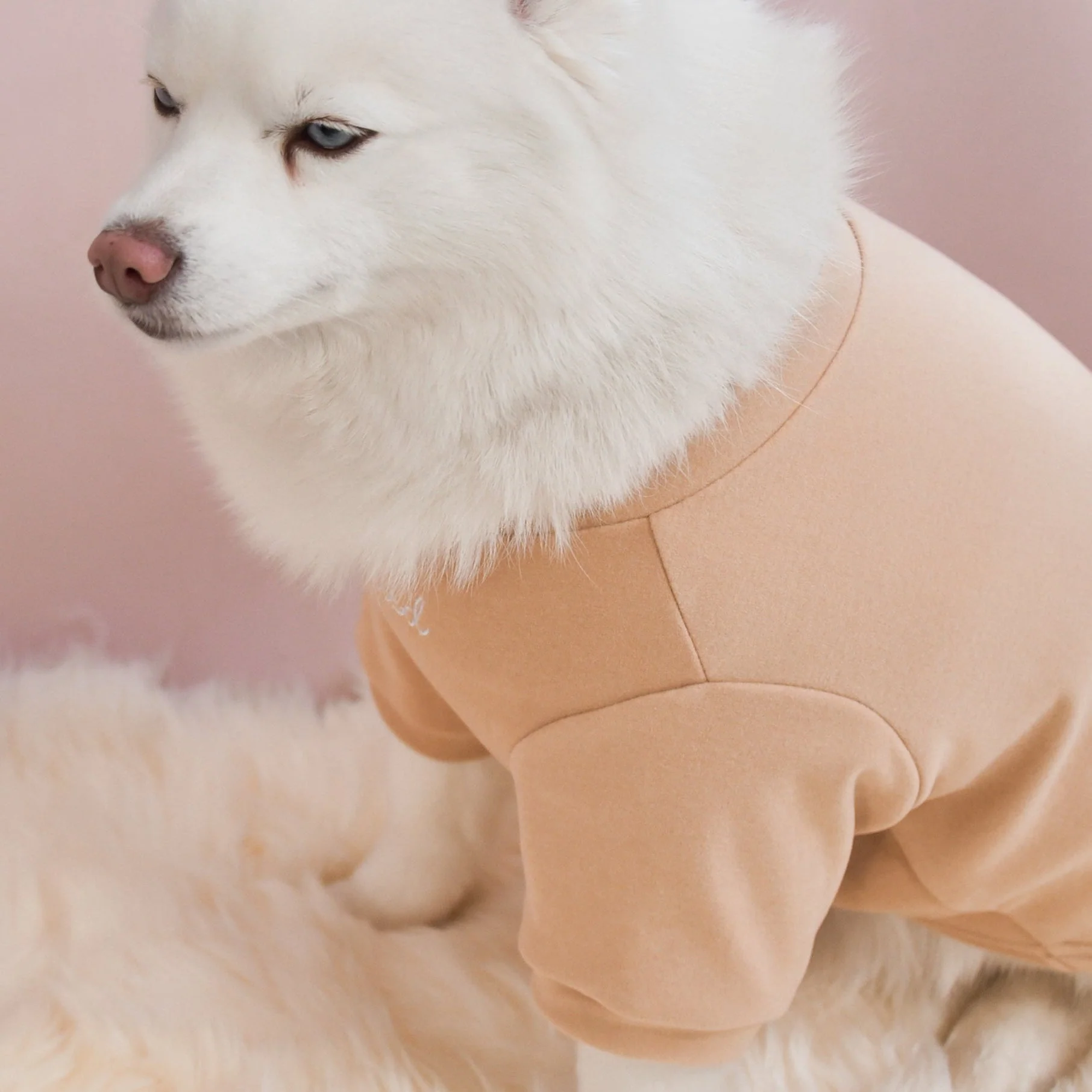 “Spoiled” Mock Neck Shirt - Miss U a Latte - Image 9