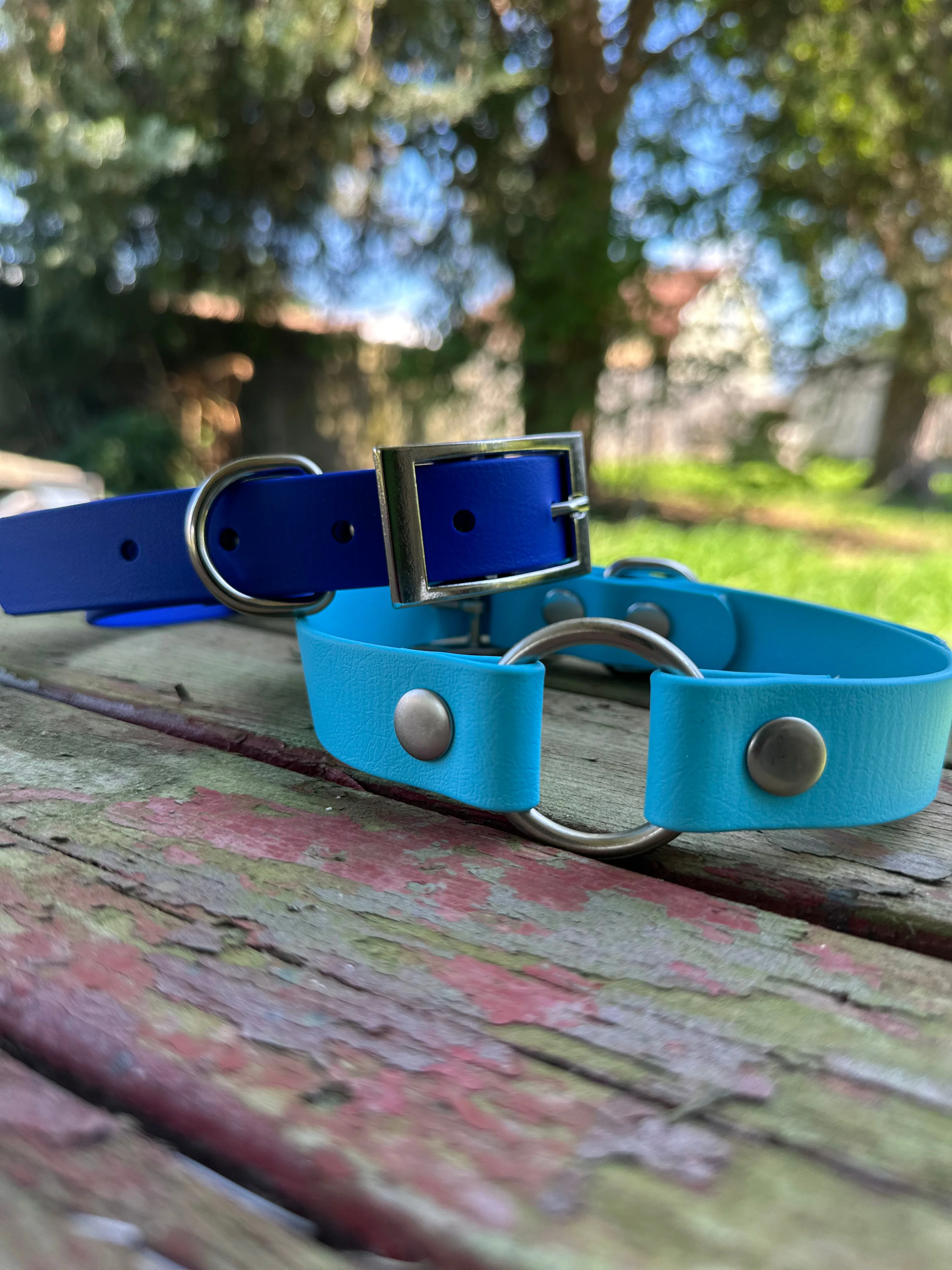 Sport Collar - Biothane - Image 3
