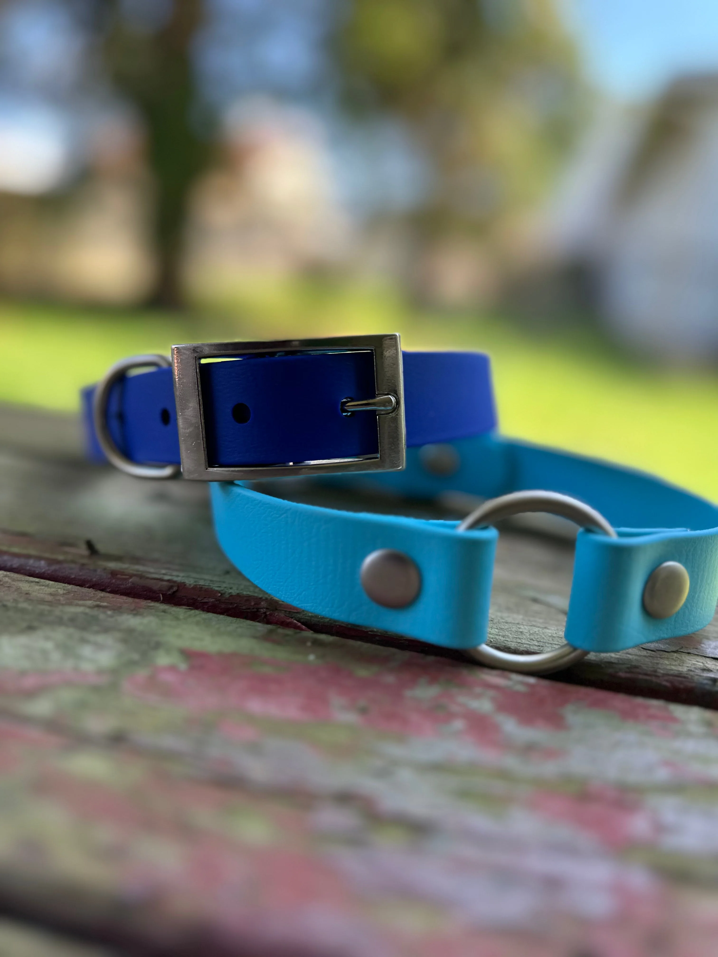 Sport Collar - Biothane - Image 4