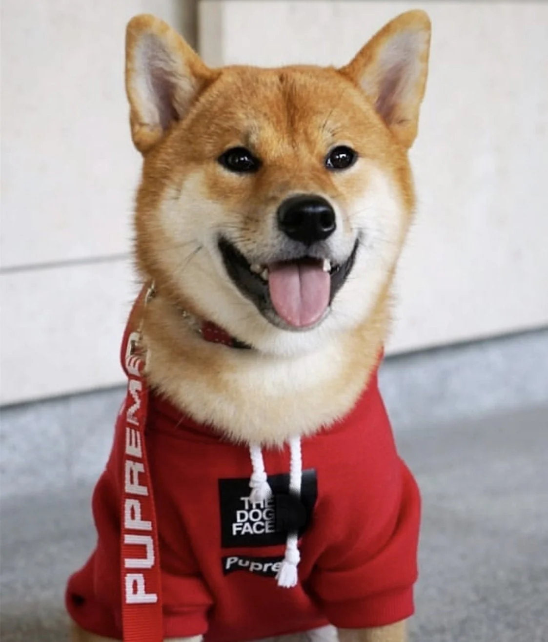 Sport Retro Hoodies Pet Clothes S-XXL - Image 7