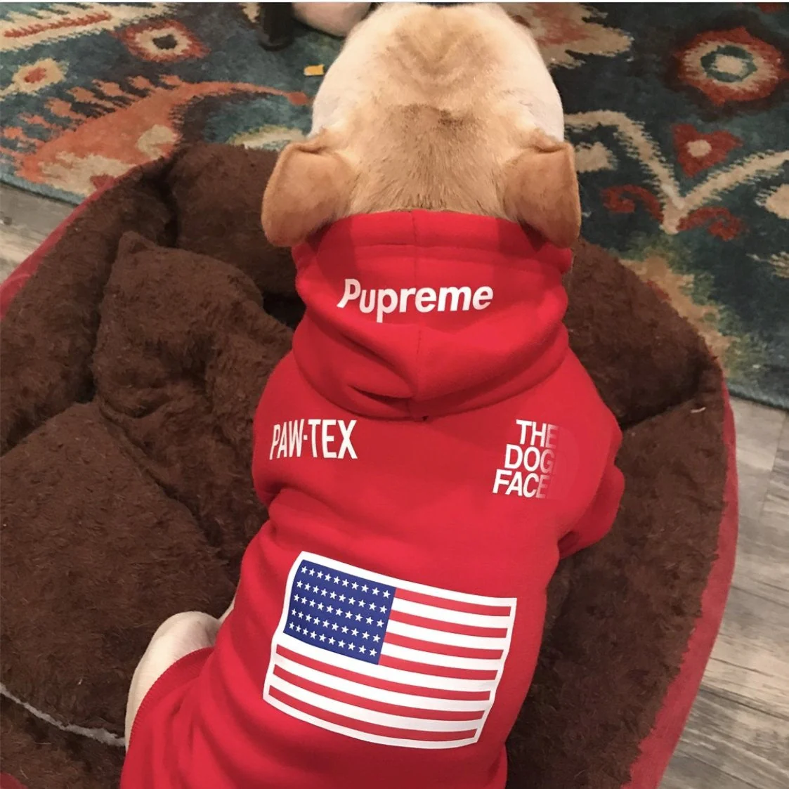 Sport Retro Hoodies Pet Clothes S-XXL - Image 8