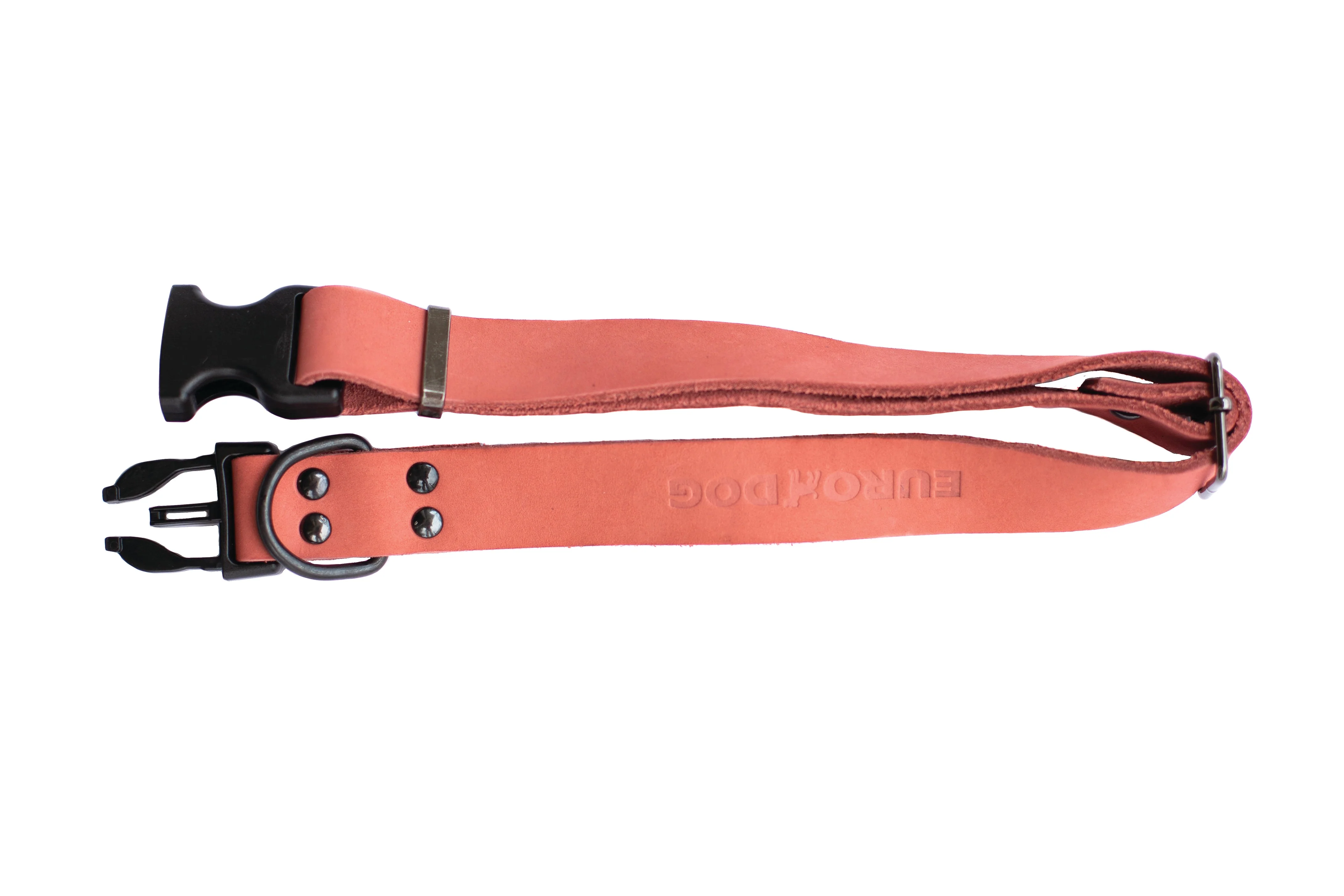 Sport Style Coral Reef Leather Dog Collar - Image 3