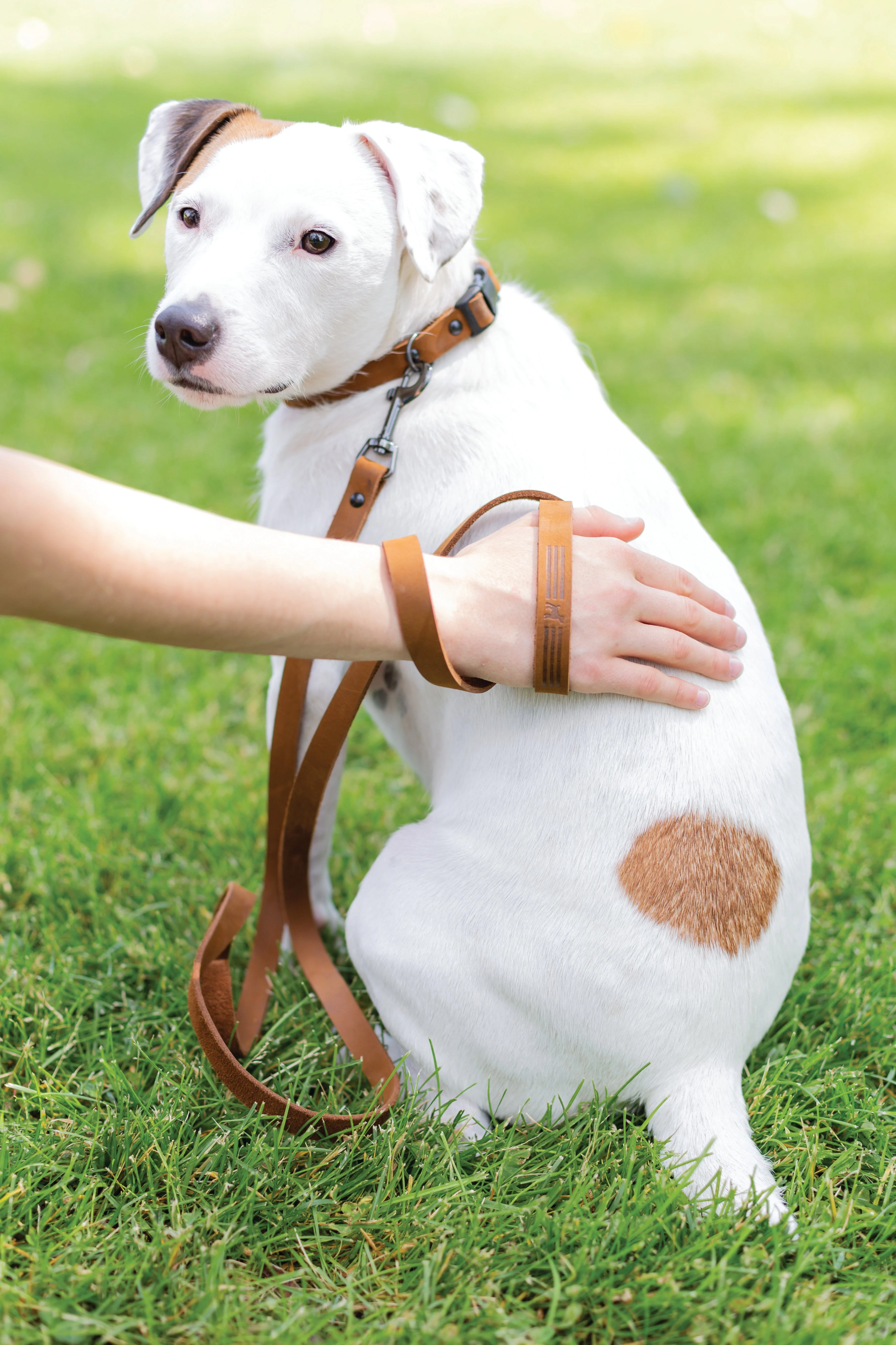Sport Style Earth Brown Leather Leash - Image 2