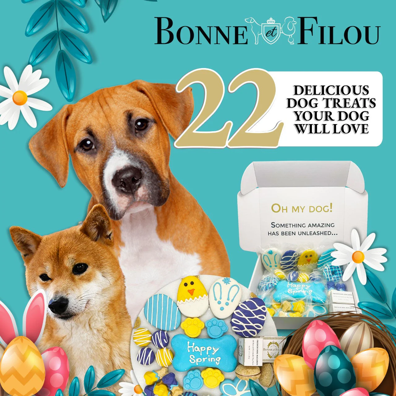Spring Themed Dog Treats Gift Box - Image 5