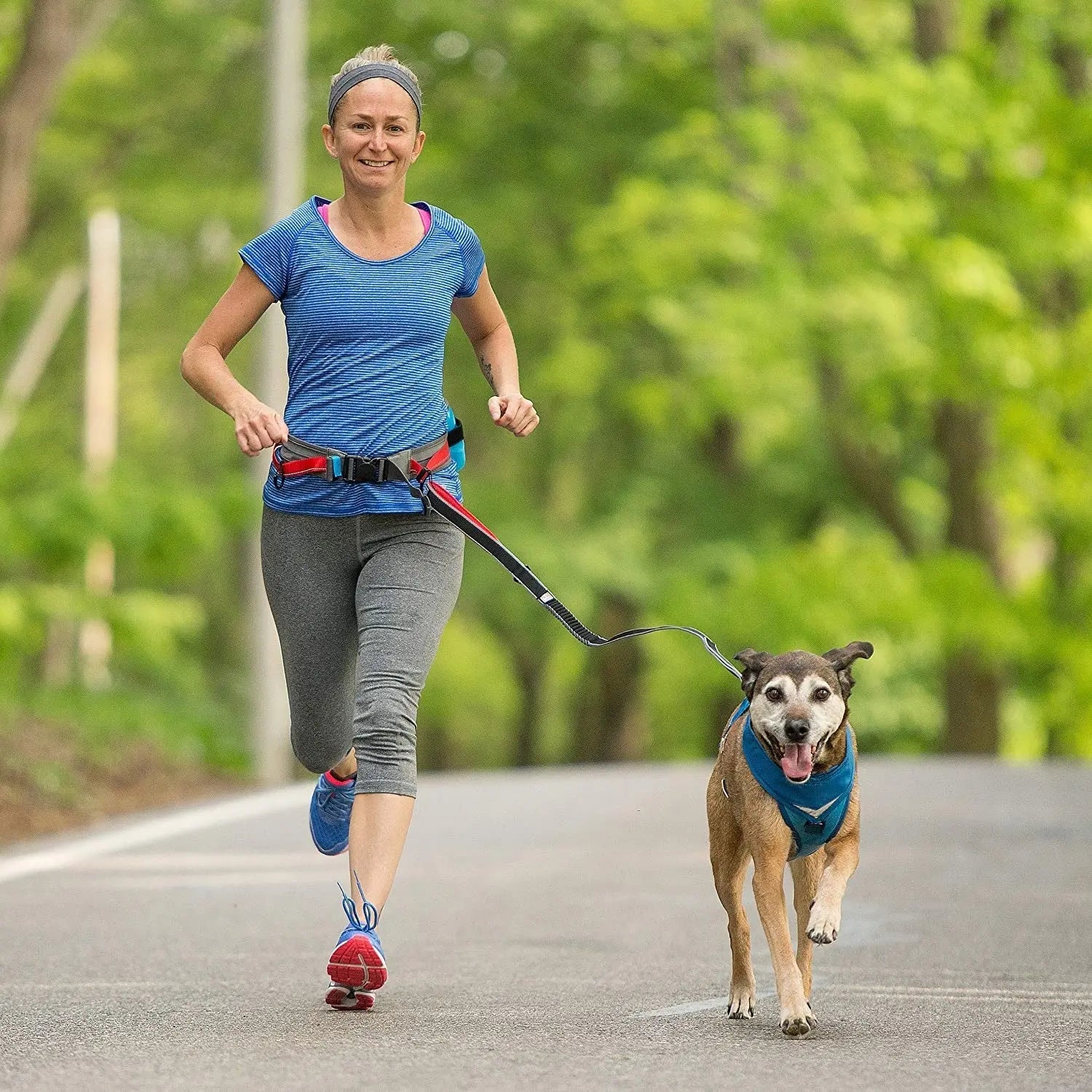 Springback Leash for Dogs, 30 Inch Blue/Grey, Padded Handle, Bungee Eases Pulling - Image 5