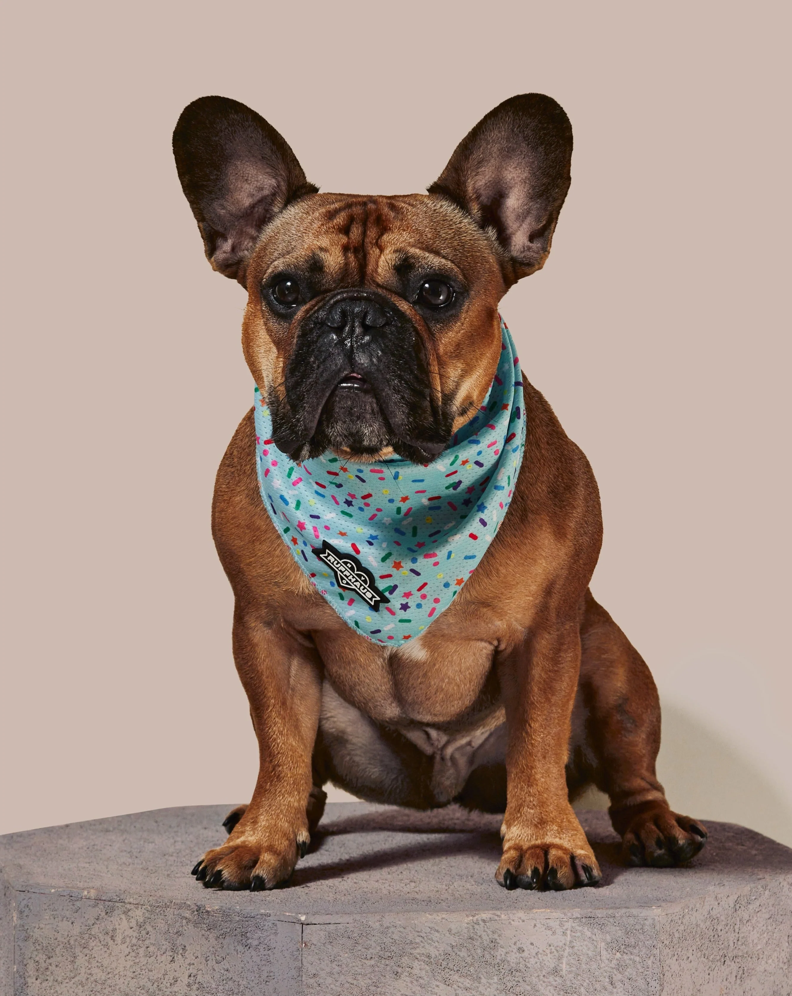 Sprinkle Me Blue Cooling Bandana - Image 2