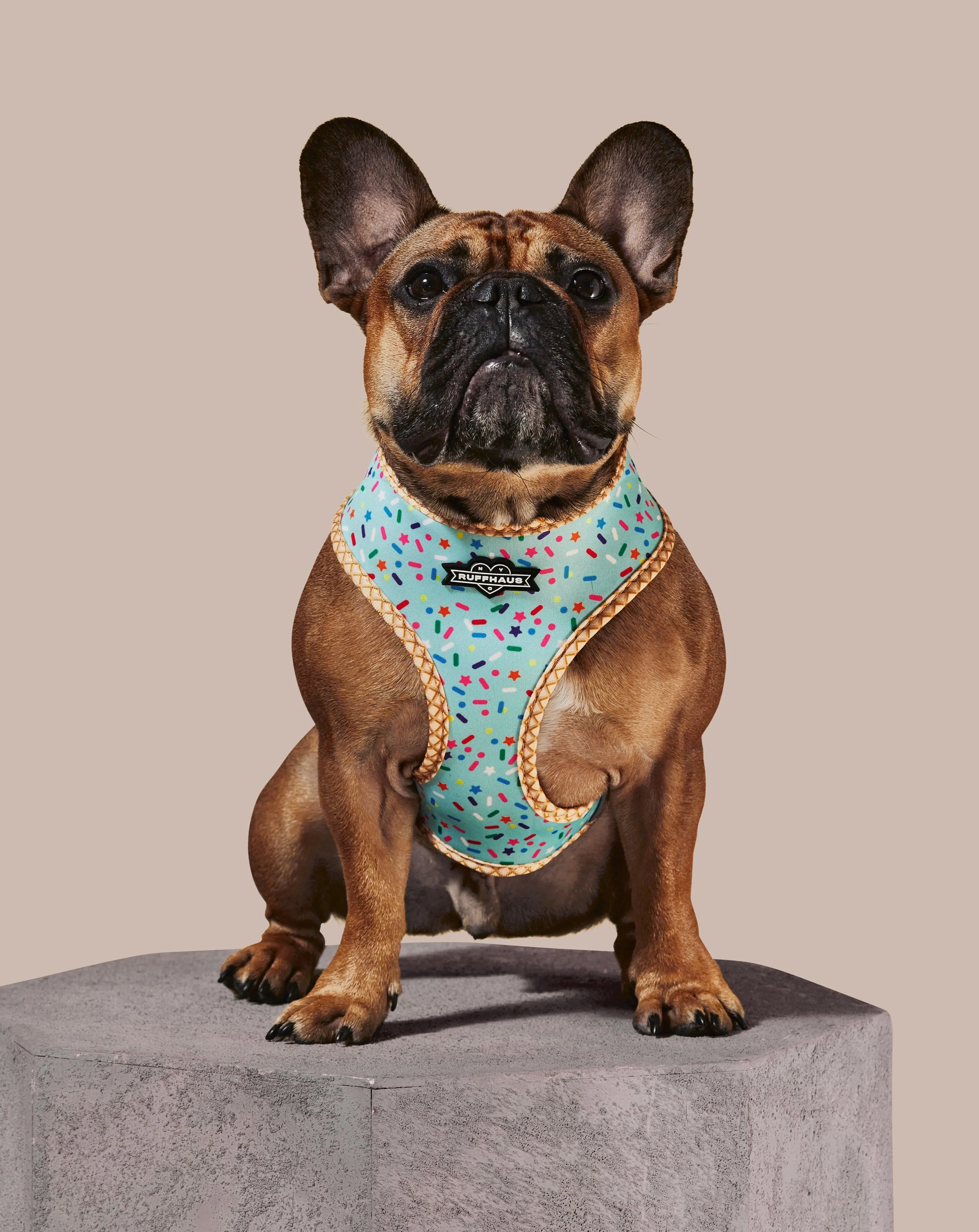 Sprinkle Me Blue Reversible Harness - Image 2