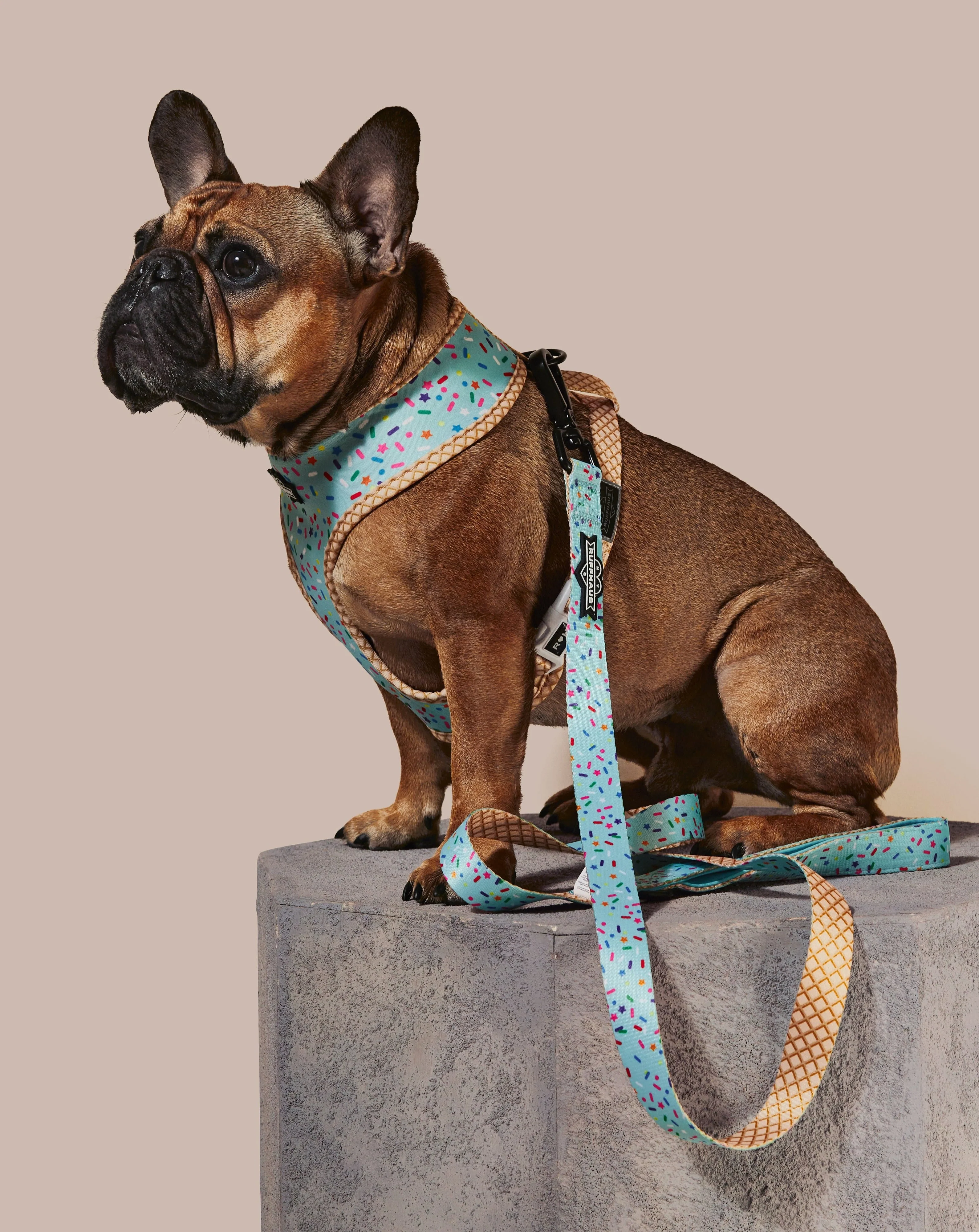 Sprinkle Me Blue Reversible Harness - Image 3