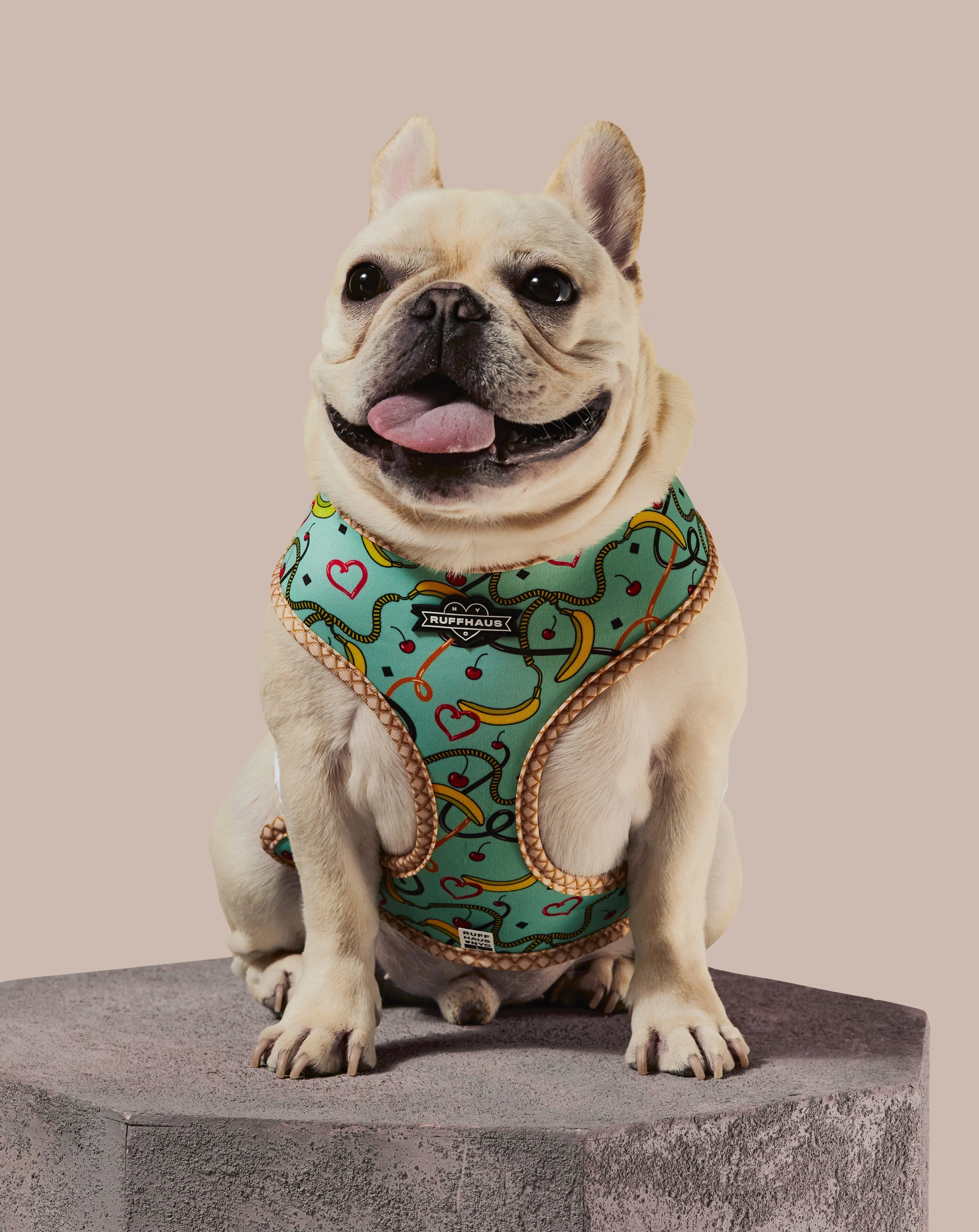 Sprinkle Me Blue Reversible Harness - Image 4