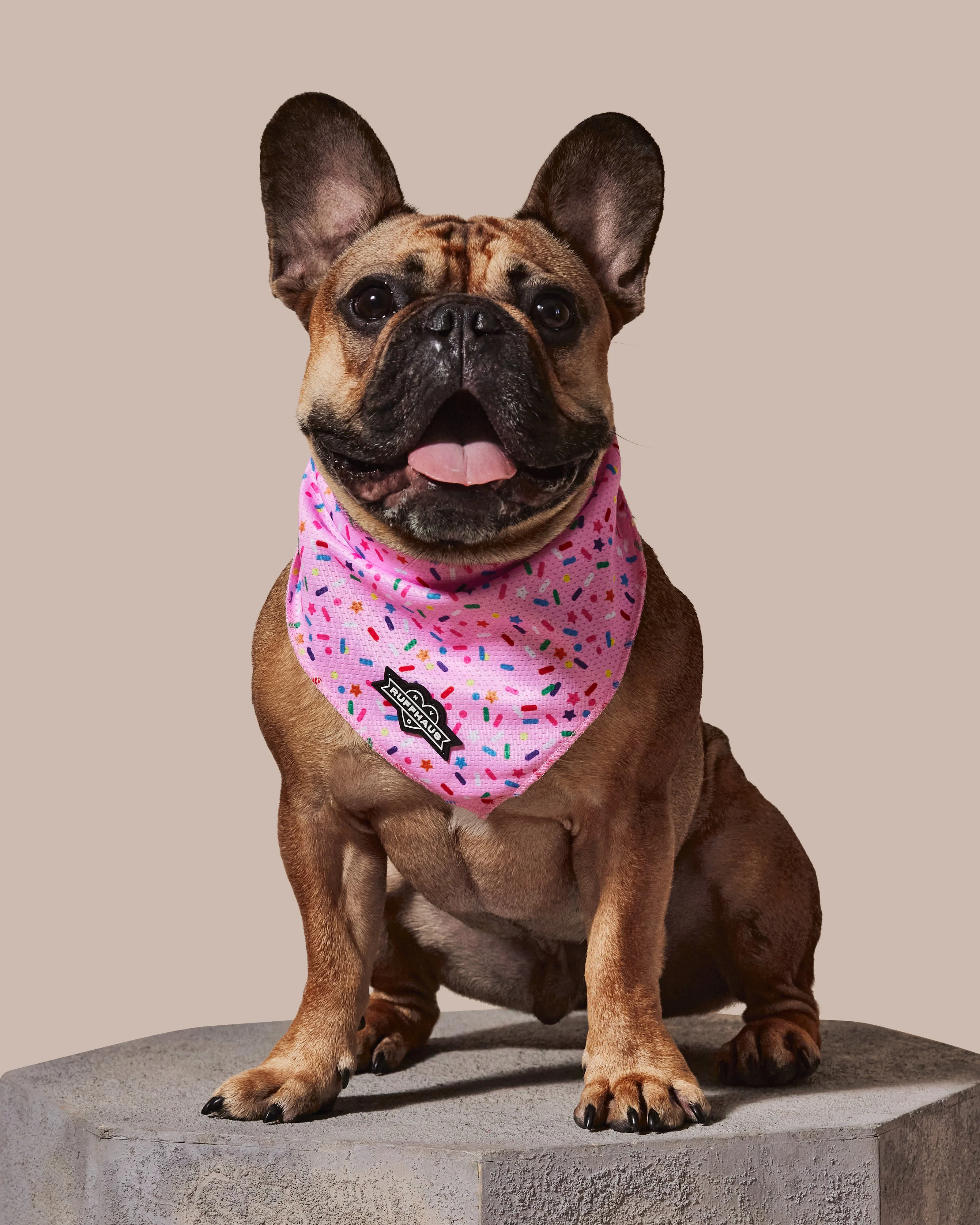 Sprinkle Me Pink Cooling Bandana - Image 2