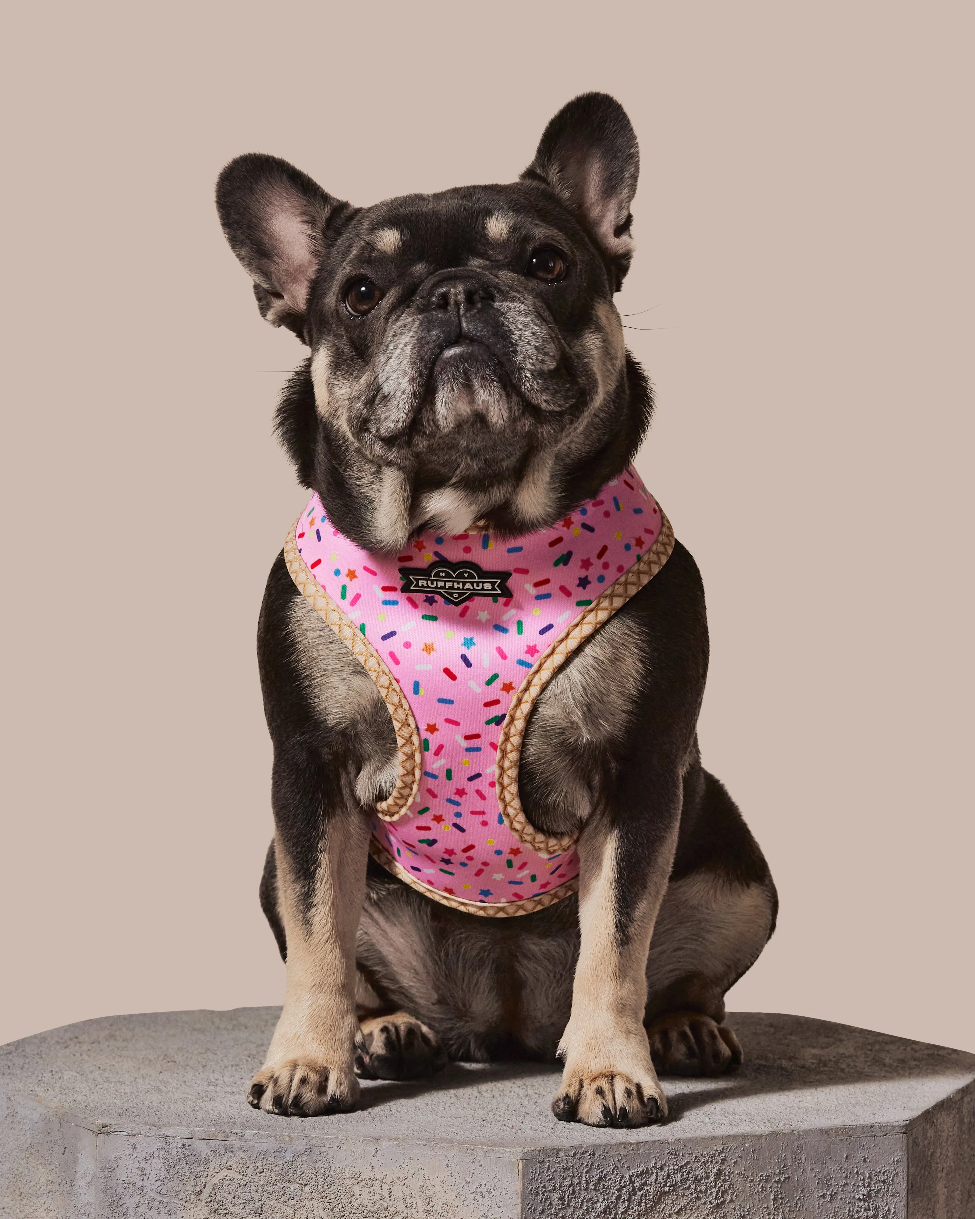 Sprinkle Me Pink Reversible Harness - Image 2