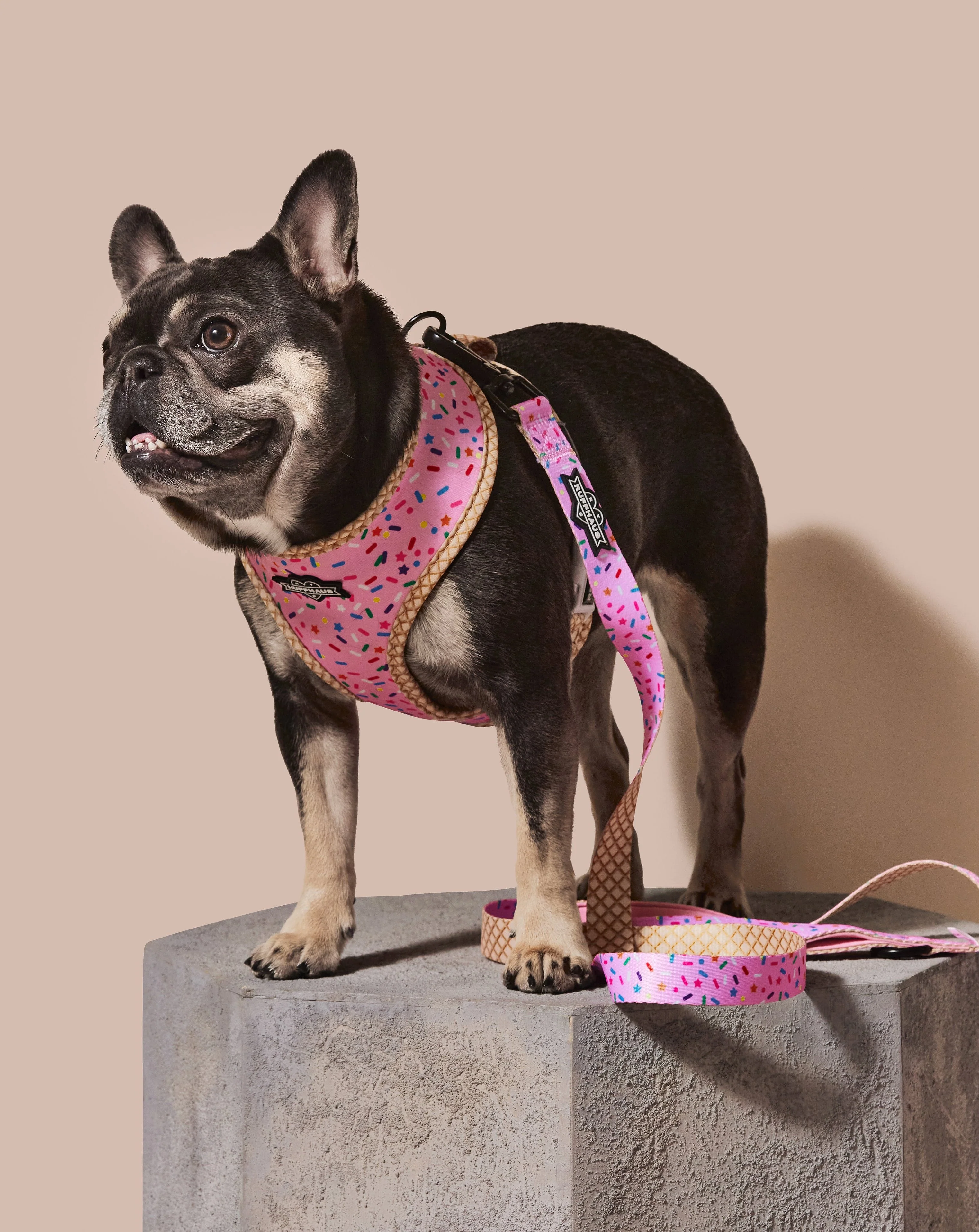 Sprinkle Me Pink Reversible Harness - Image 3