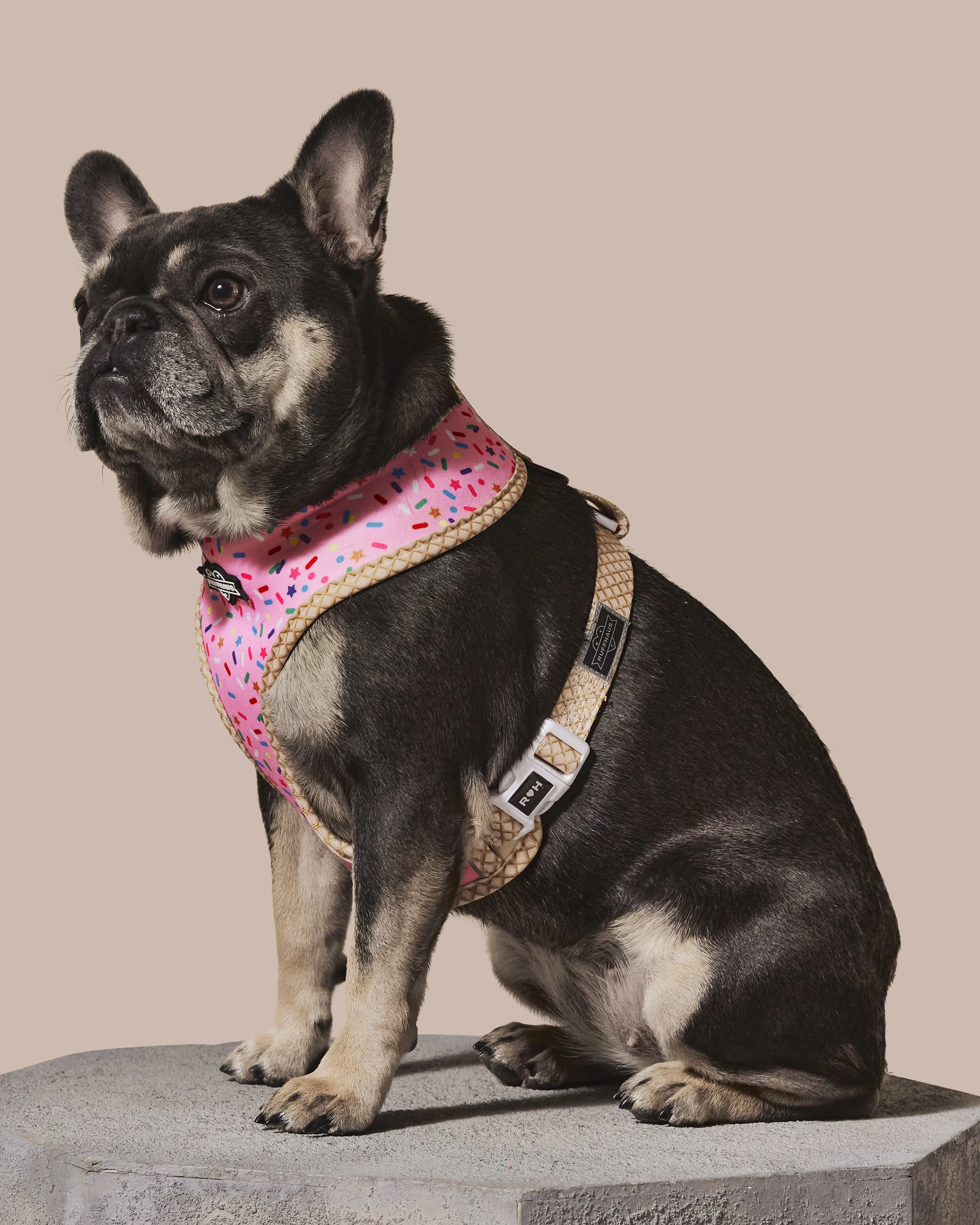Sprinkle Me Pink Reversible Harness - Image 4