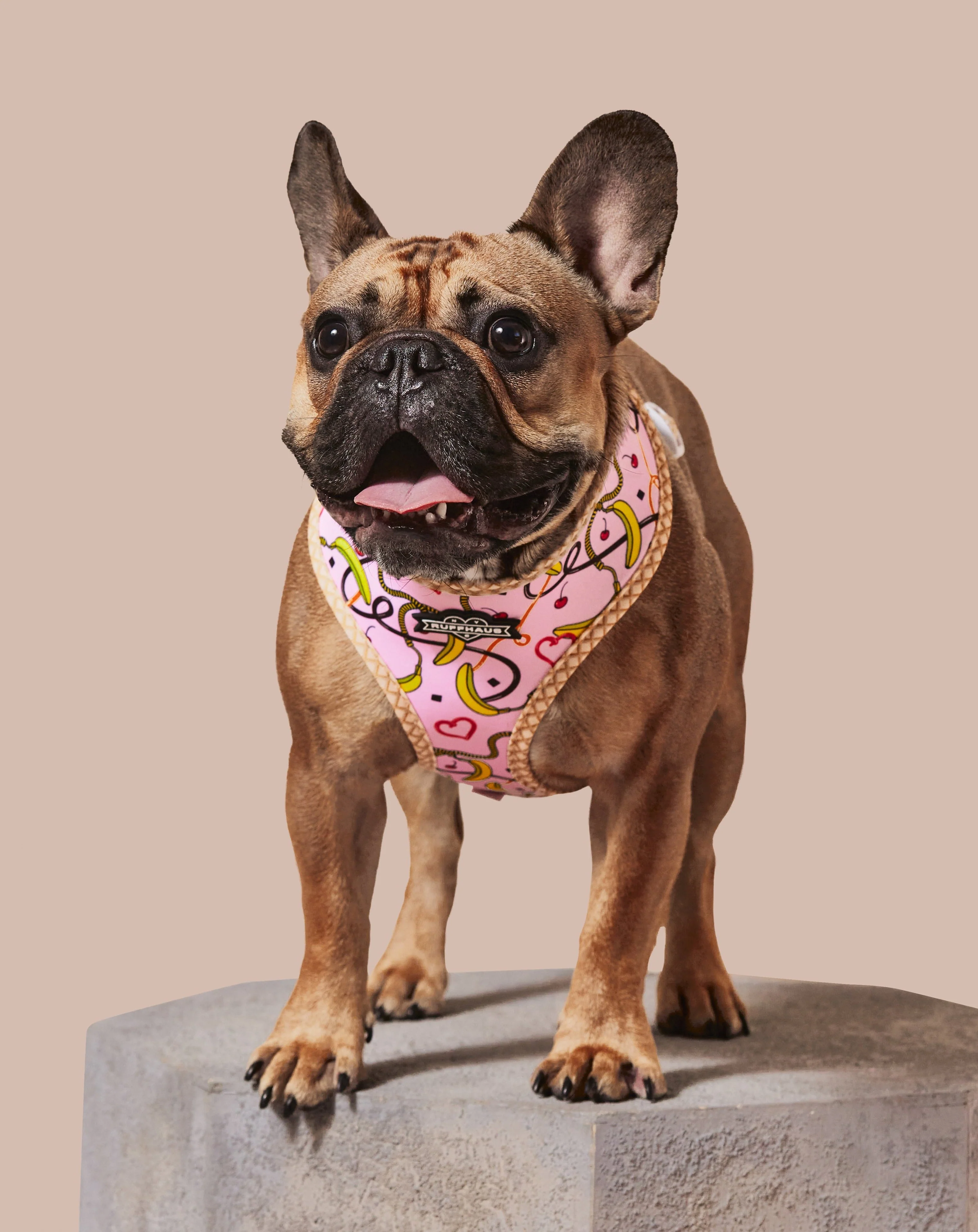 Sprinkle Me Pink Reversible Harness - Image 5
