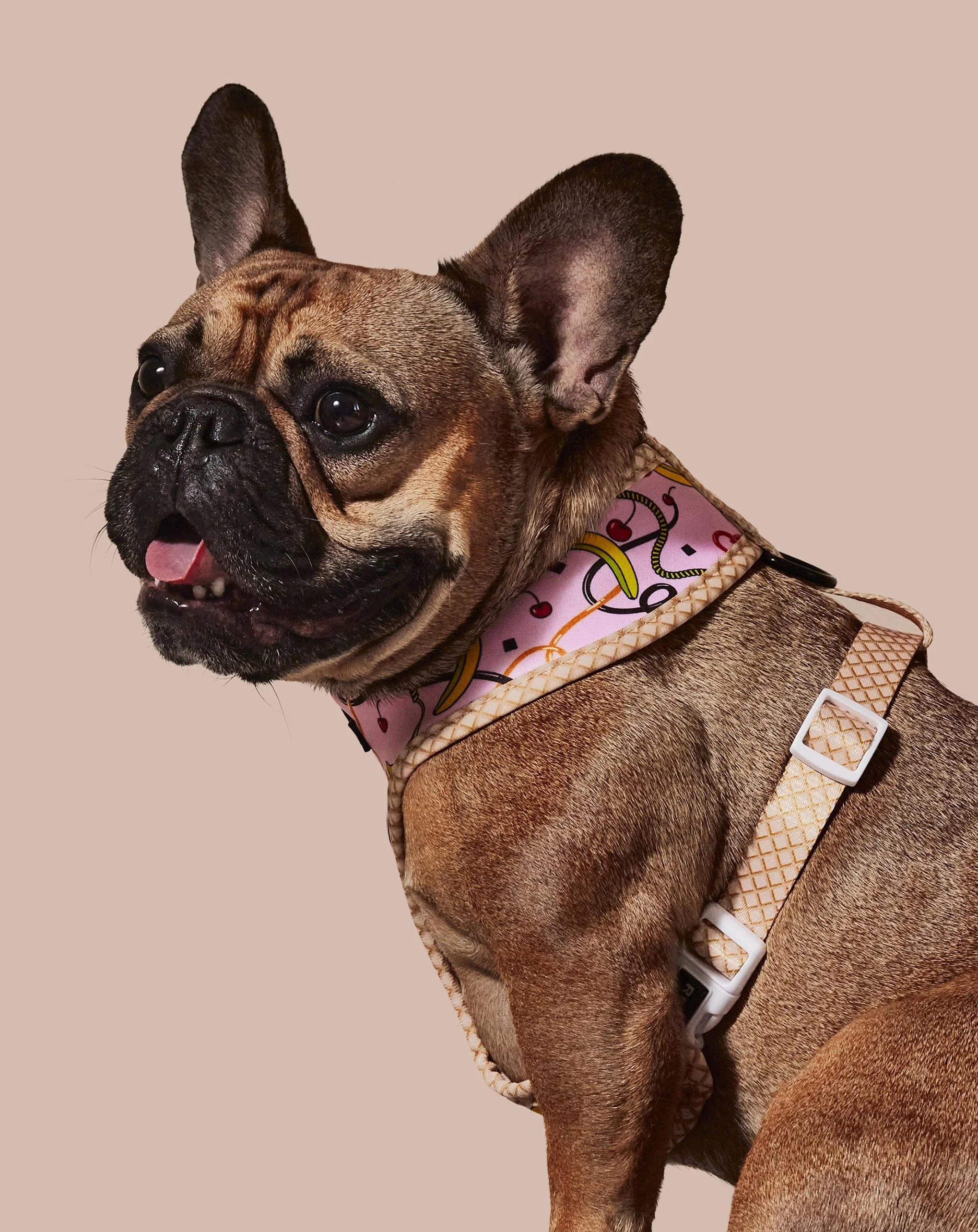 Sprinkle Me Pink Reversible Harness - Image 6