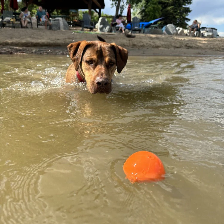 Squeak Ball - Durable Squeaky Dog Toy, Floats, Chew Toy | USA Made - Image 11