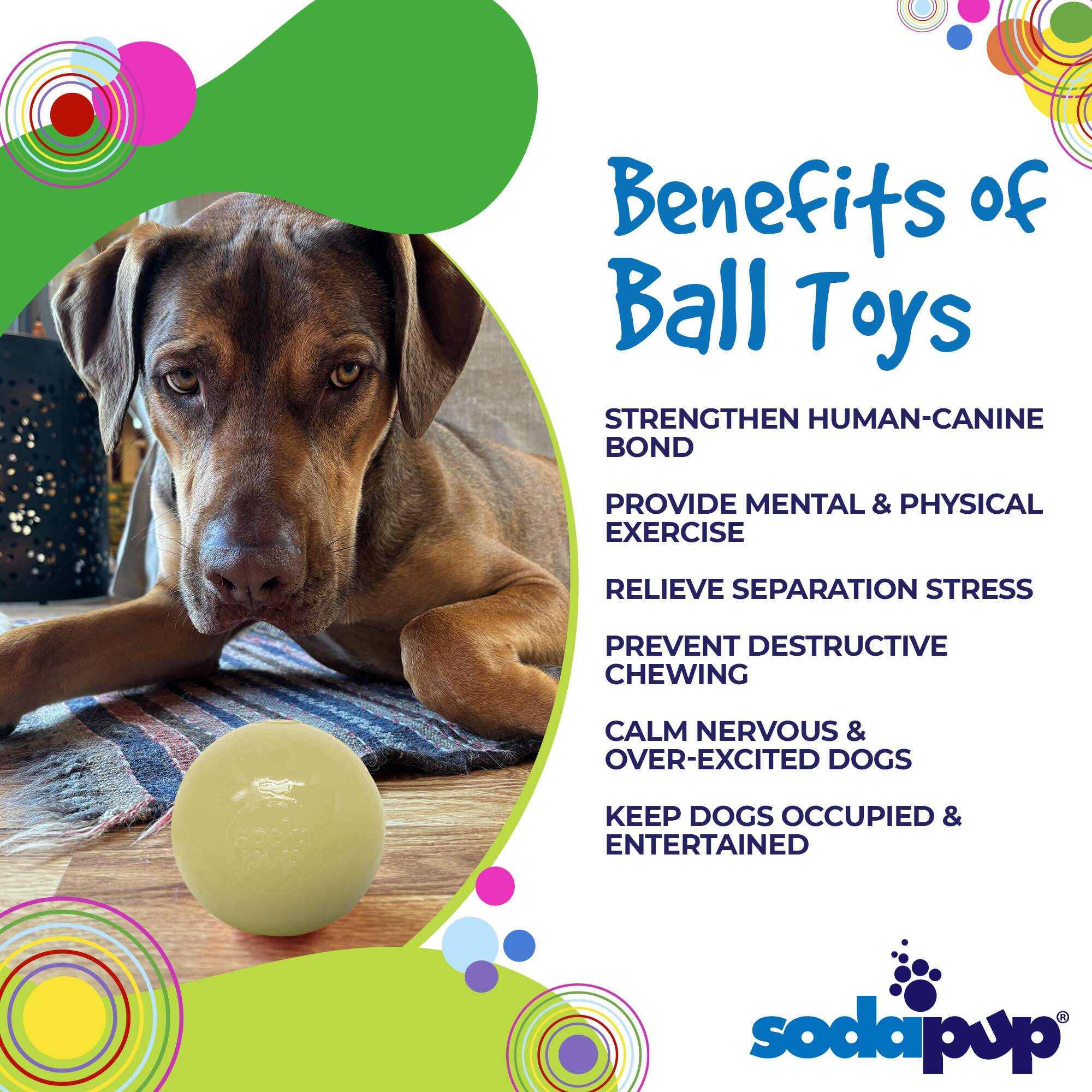 Squeak Ball - Durable Squeaky Dog Toy, Floats, Chew Toy | USA Made - Image 4