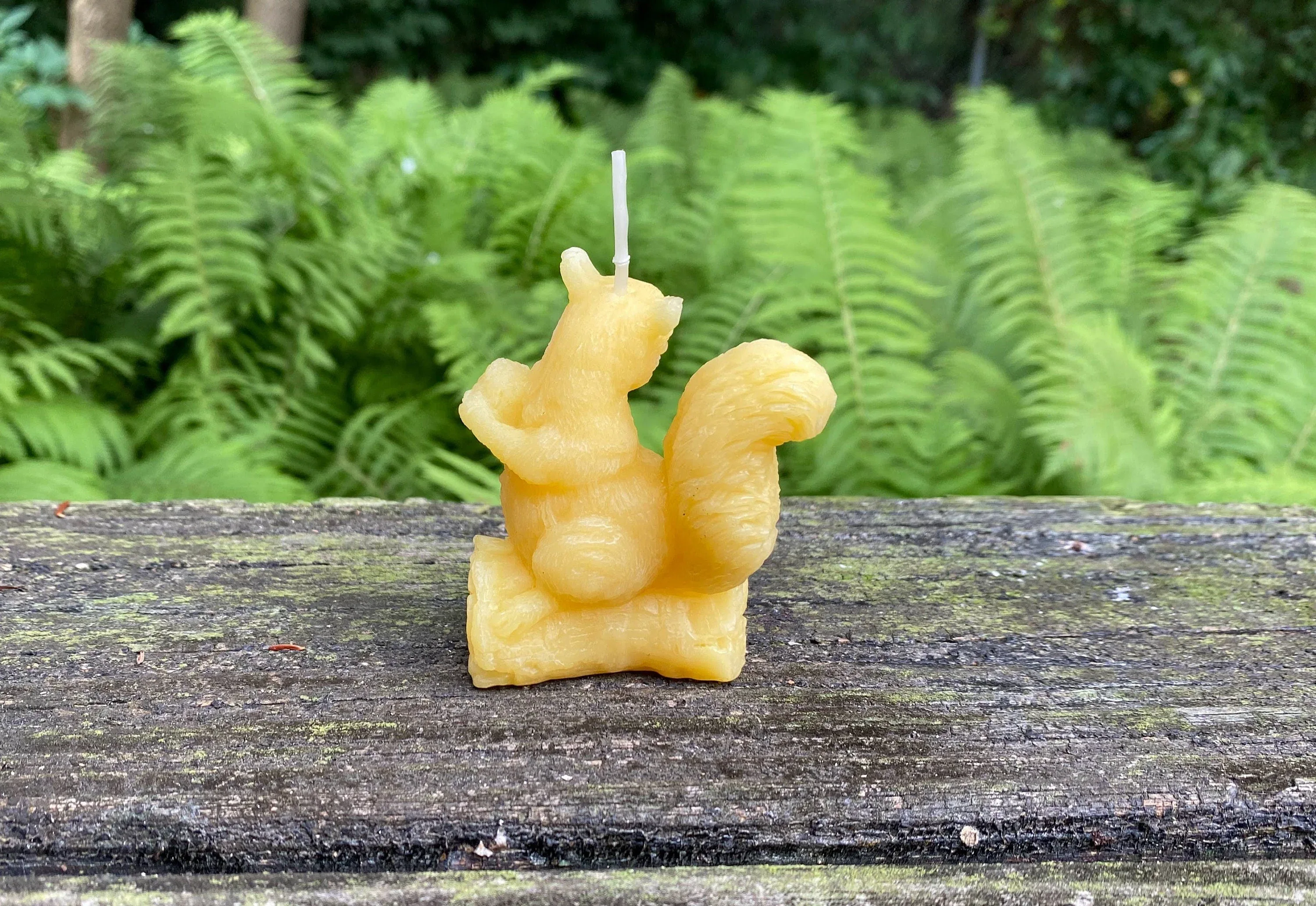 Squirrel Beeswax Candle - Image 2