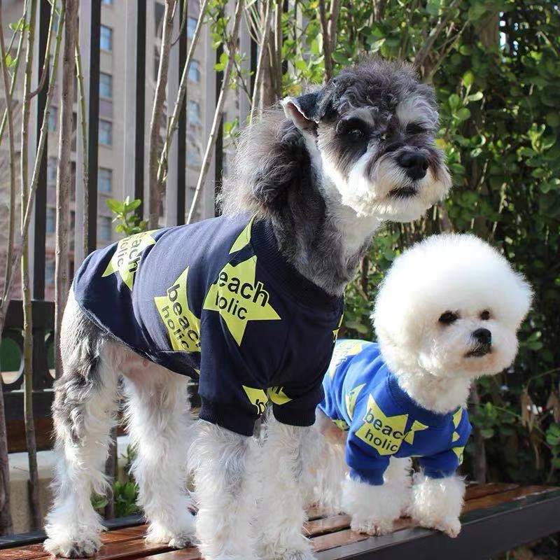 Star Print Dog Sweatshirt + Cozy Fit & Beach Holic Style - Image 2