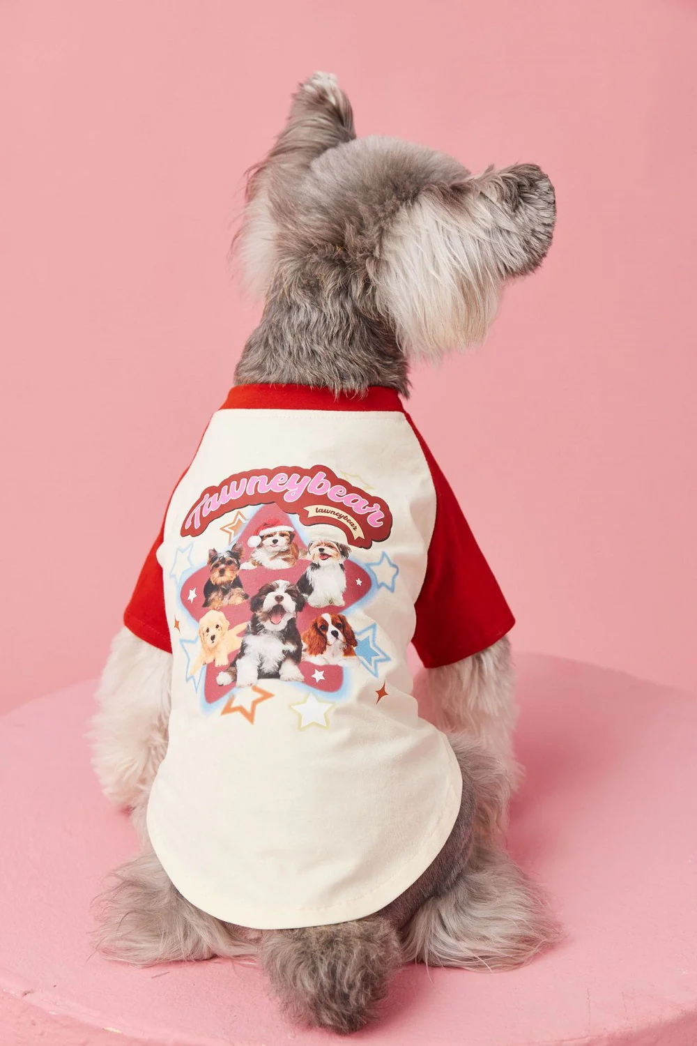 Star Pup Tee Dog Cat Clothing - Image 3
