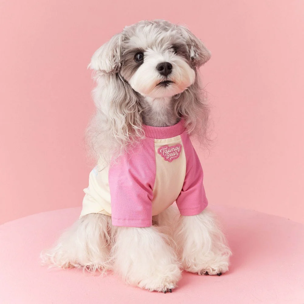 Star Pup Tee Dog Cat Clothing - Image 5